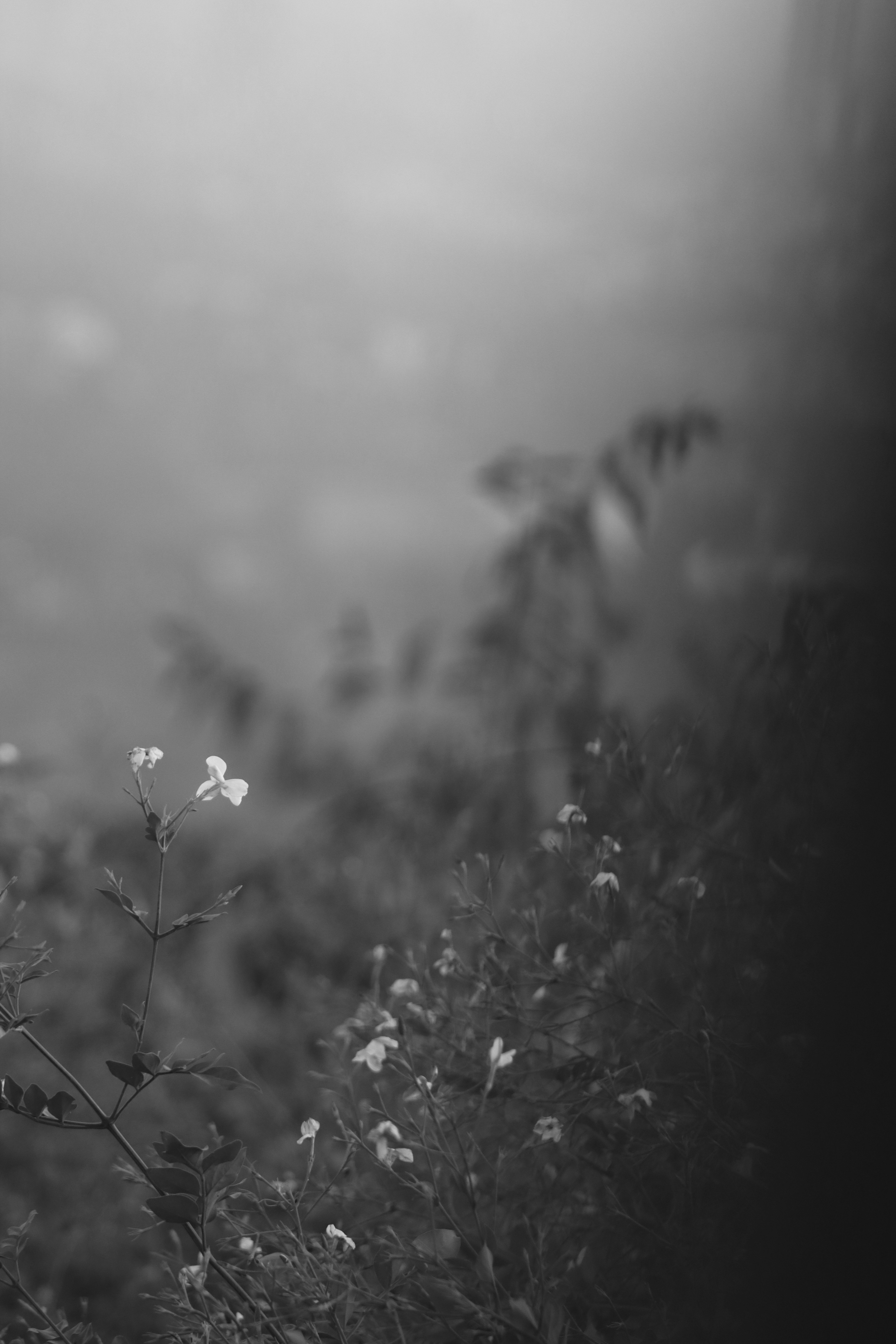 Photo by alihamzatullah