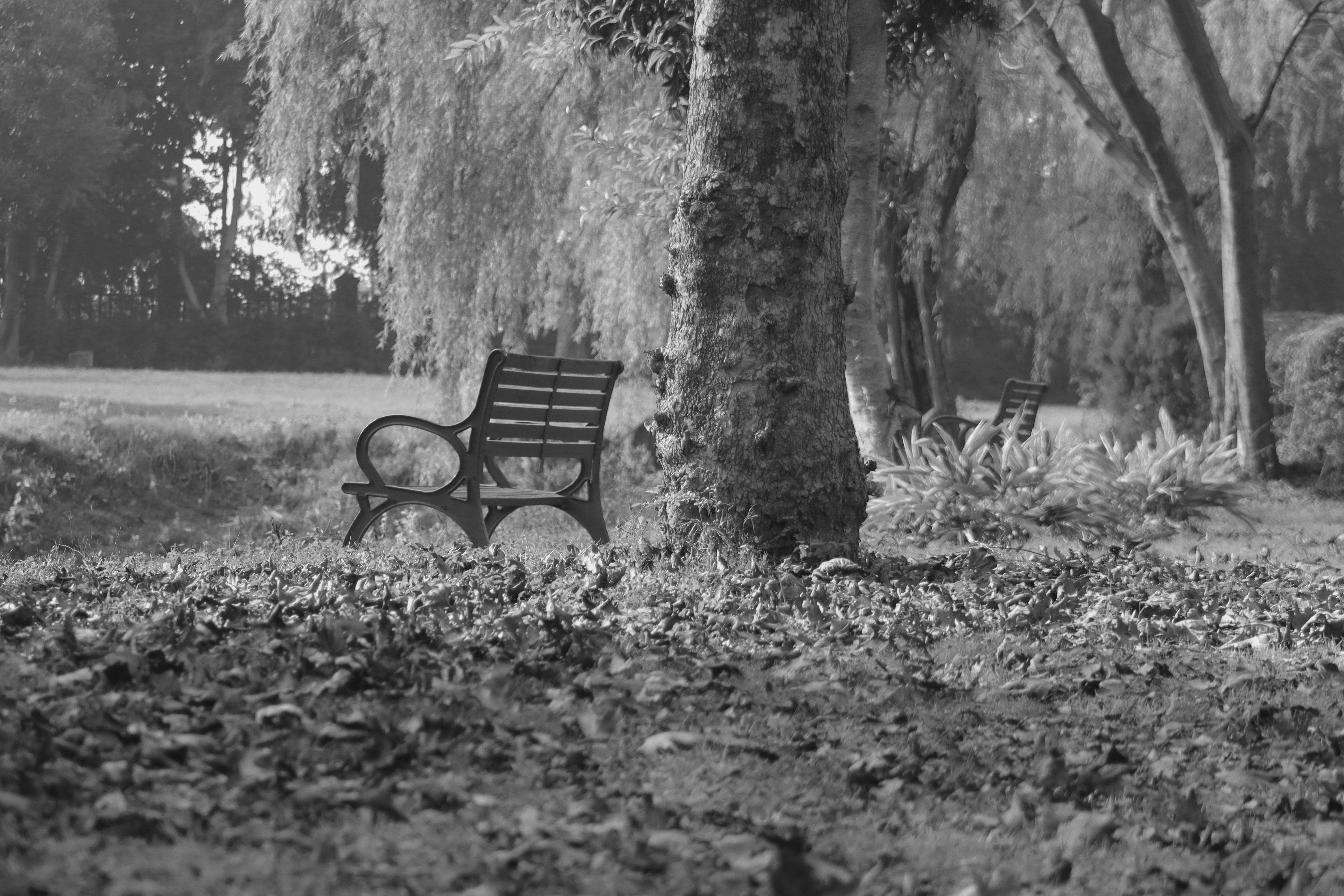 Photo by alihamzatullah