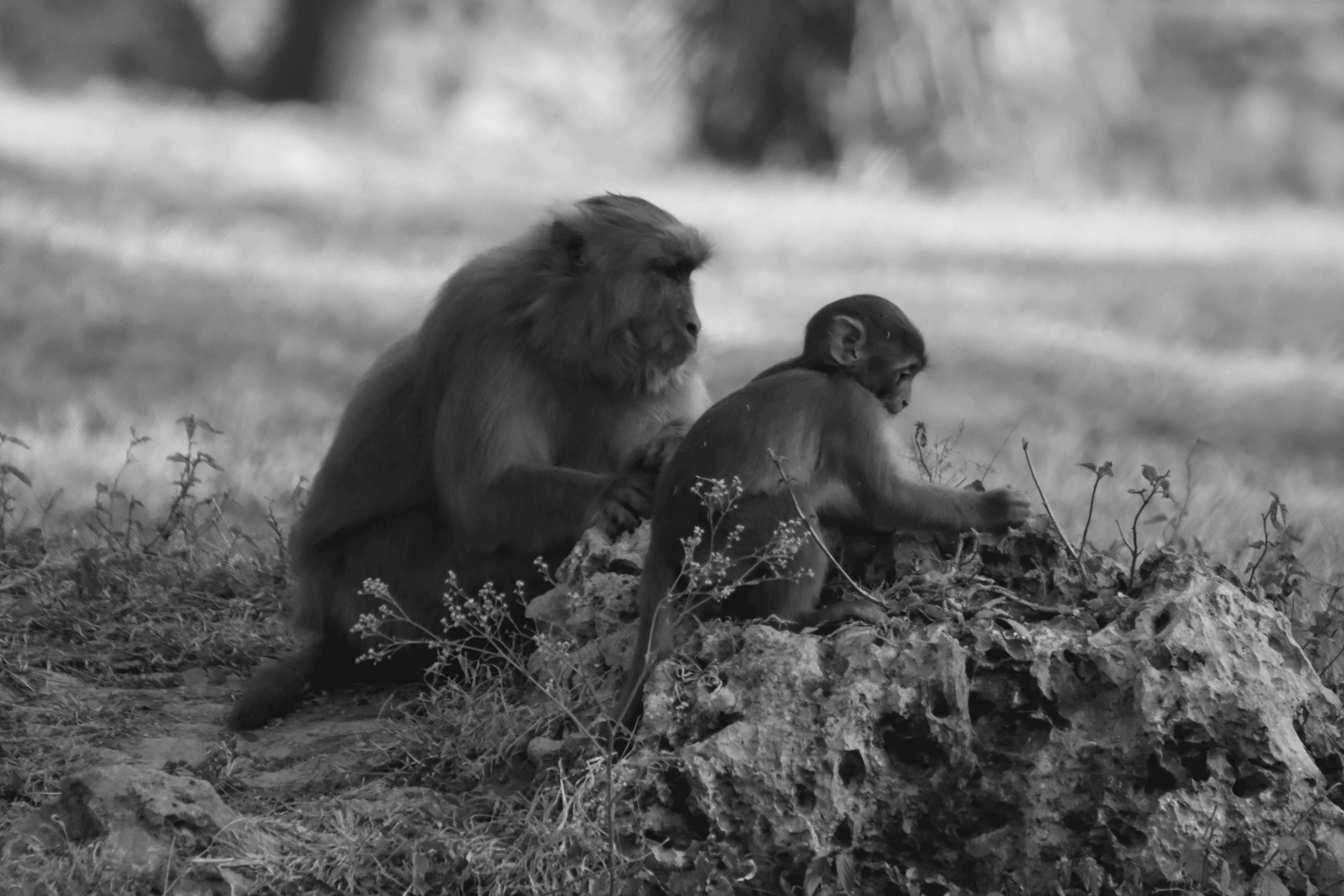 Photo by alihamzatullah