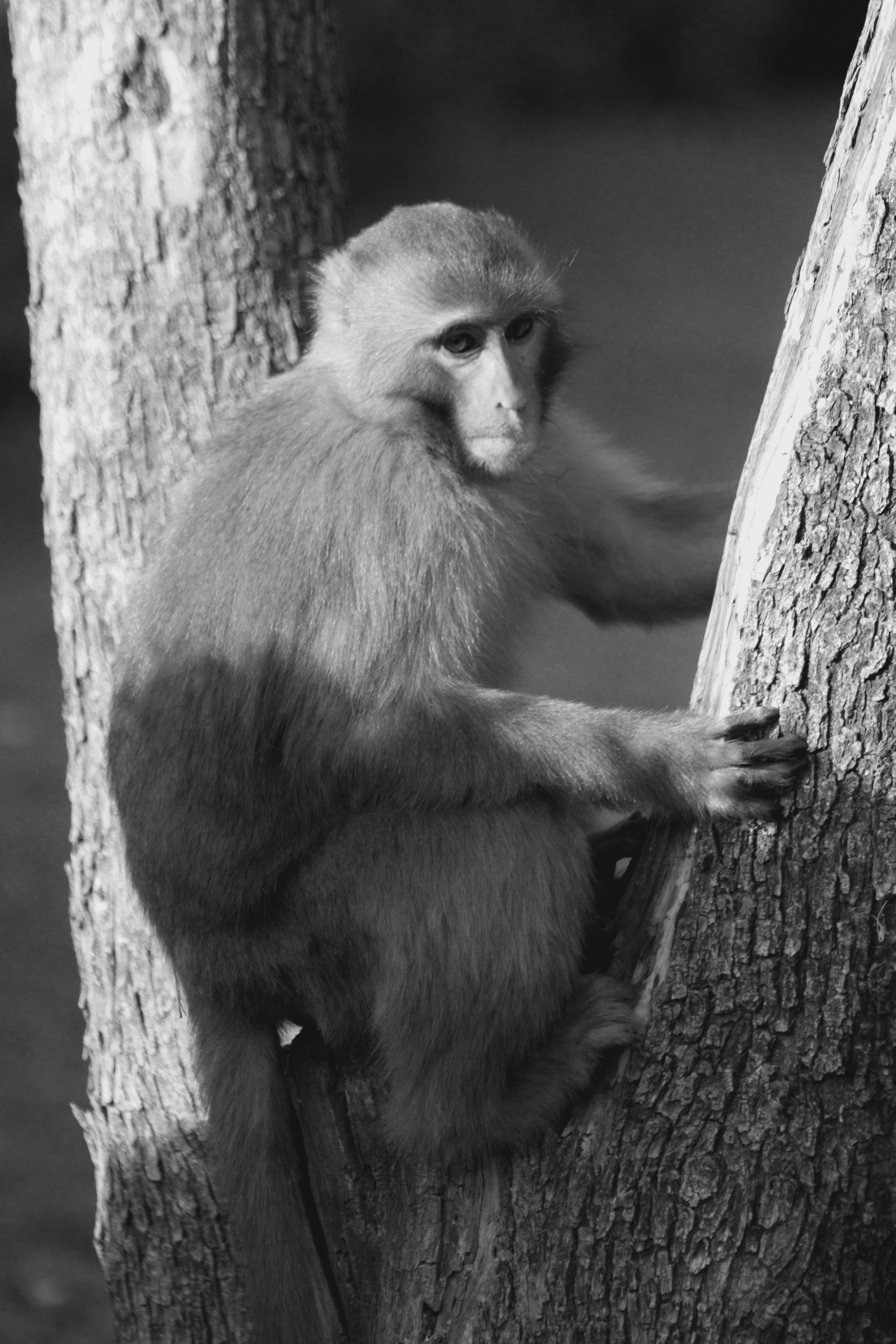 Photo by alihamzatullah