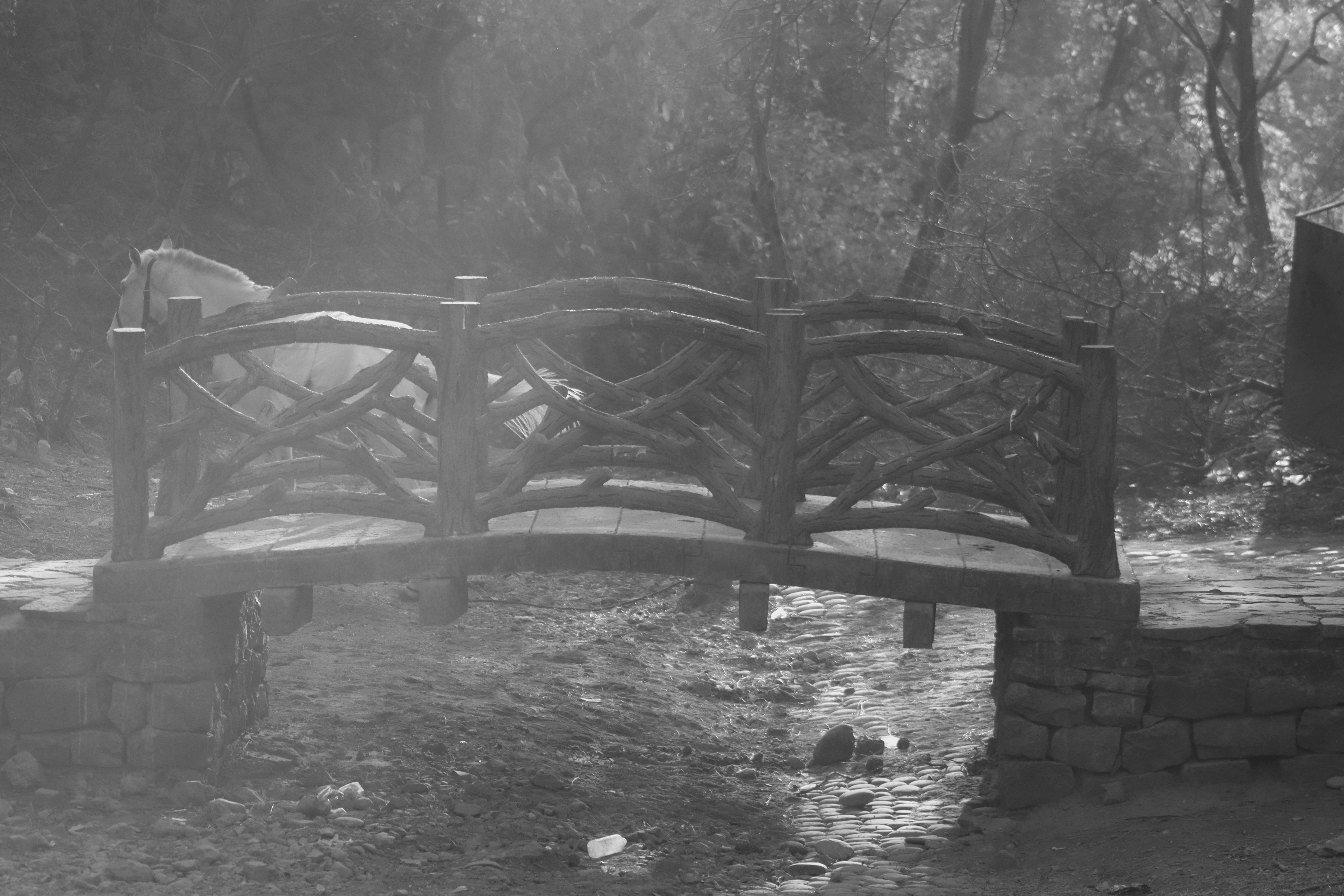 Photo by alihamzatullah