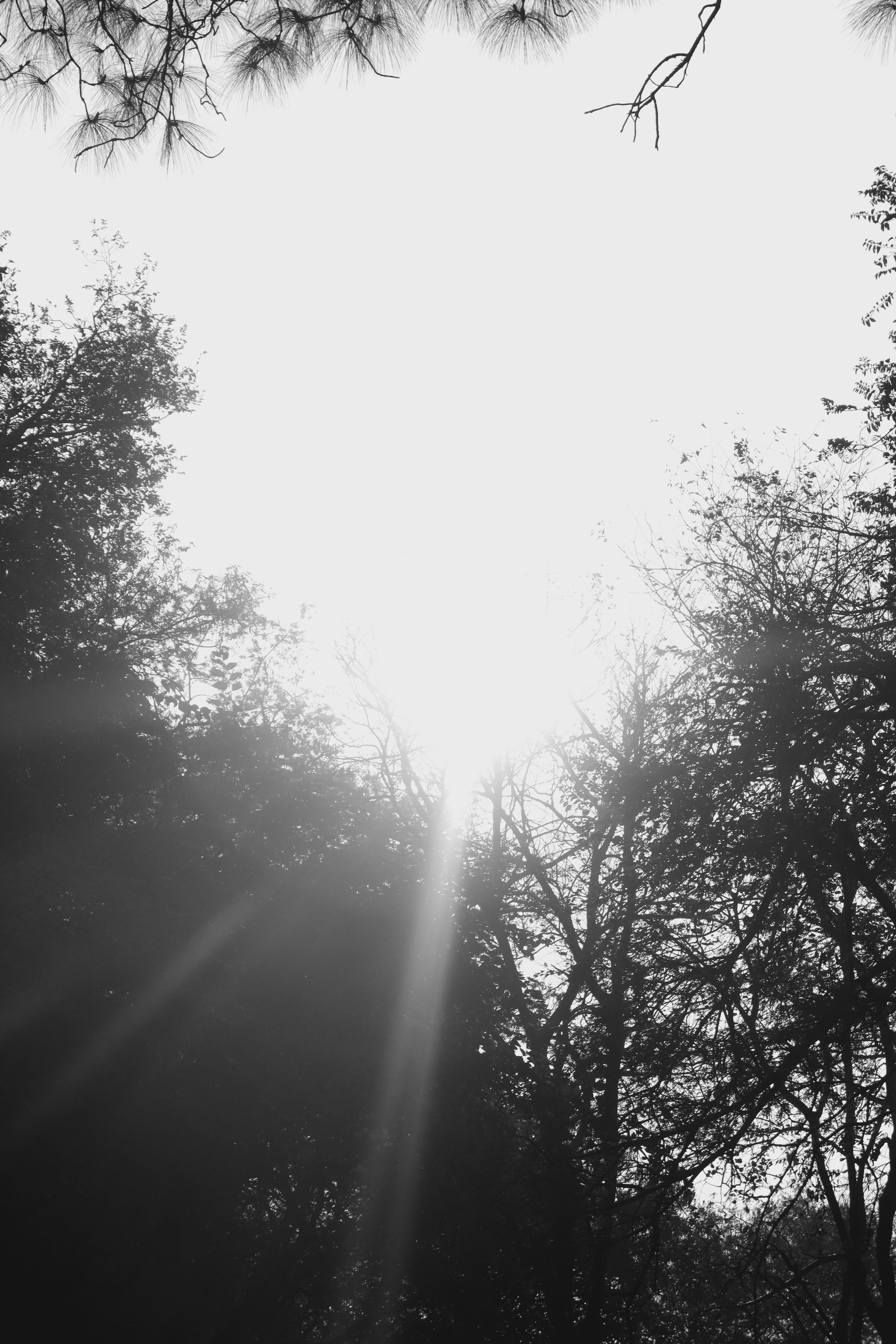 Photo by alihamzatullah