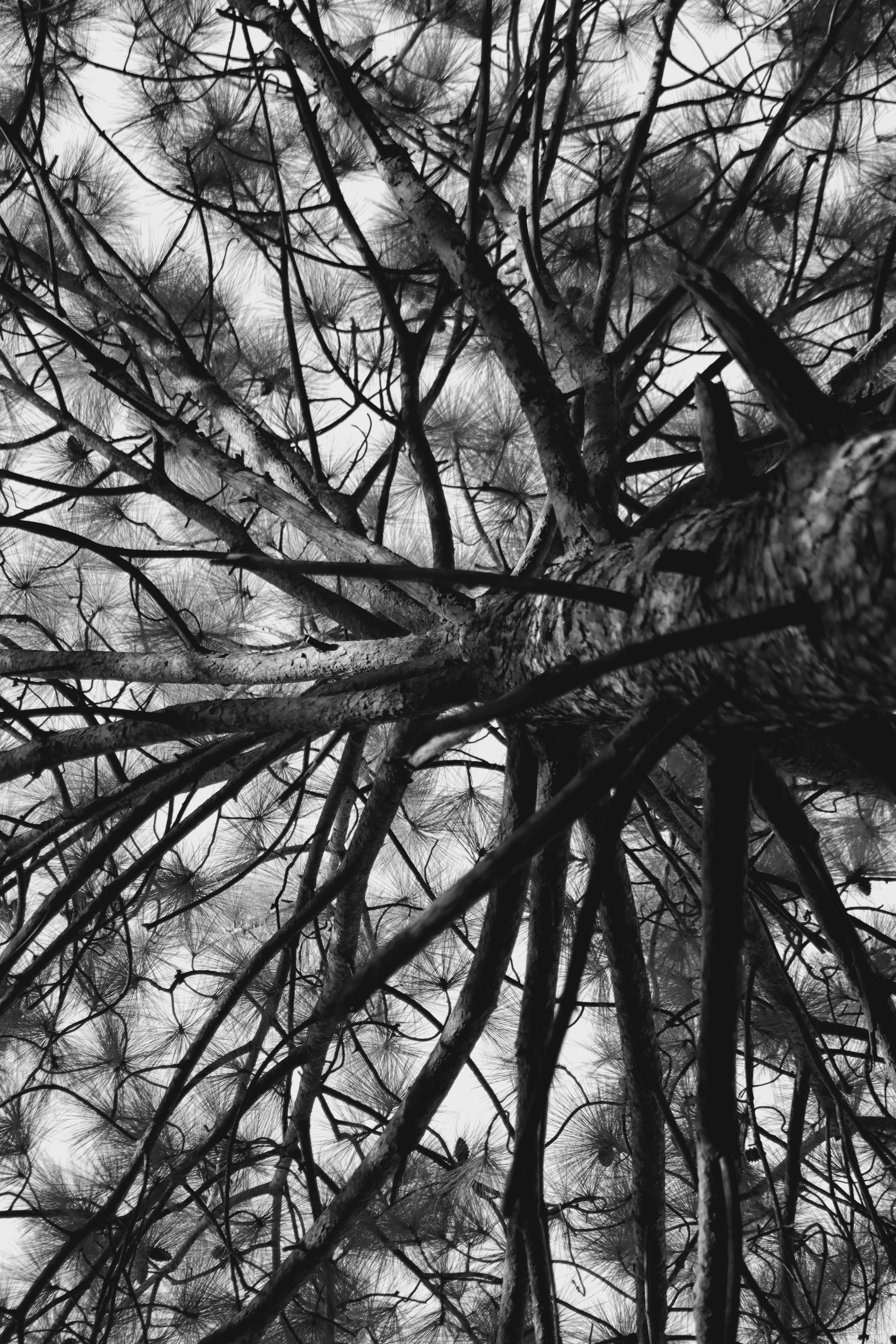 Photo by alihamzatullah