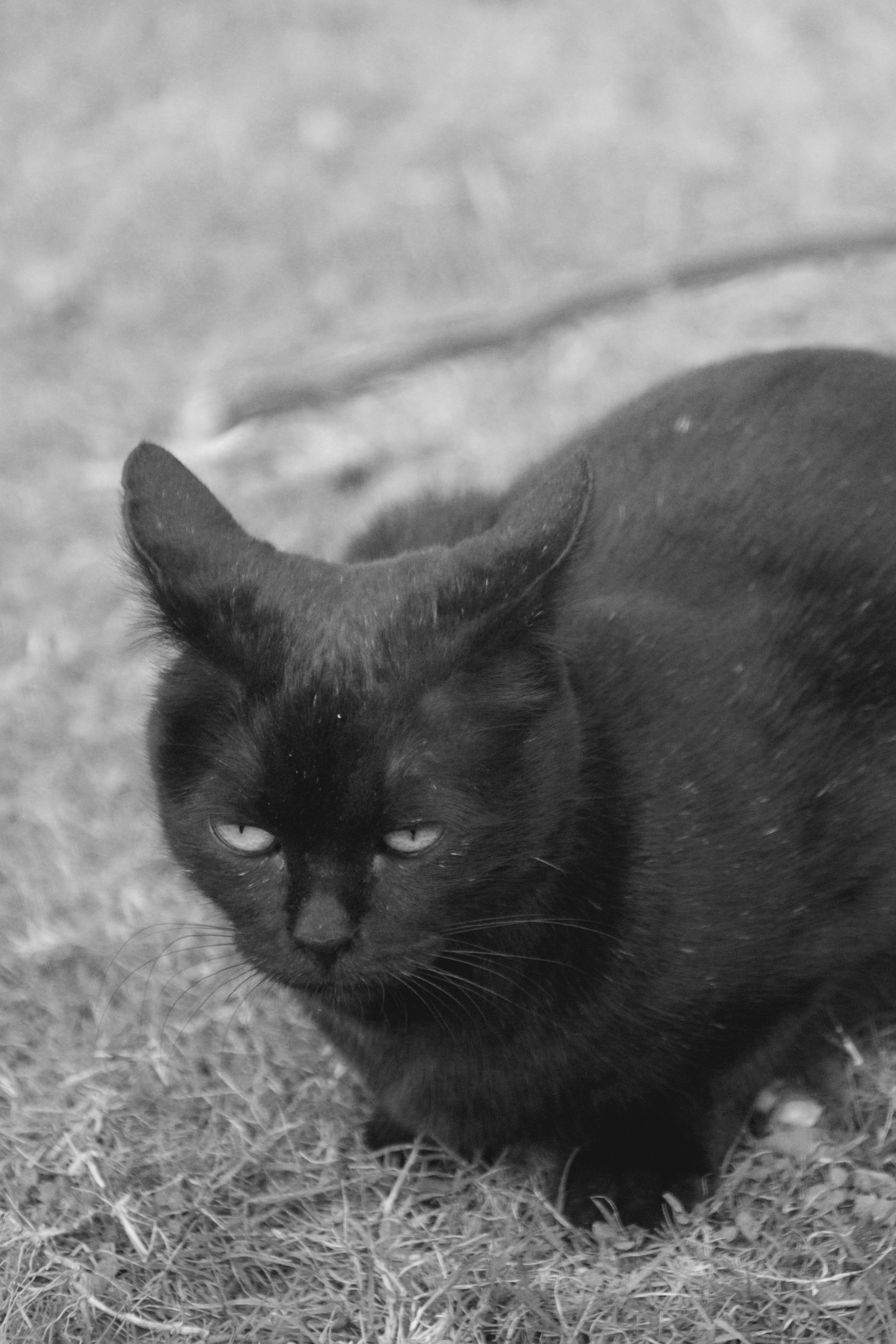 Photo by alihamzatullah