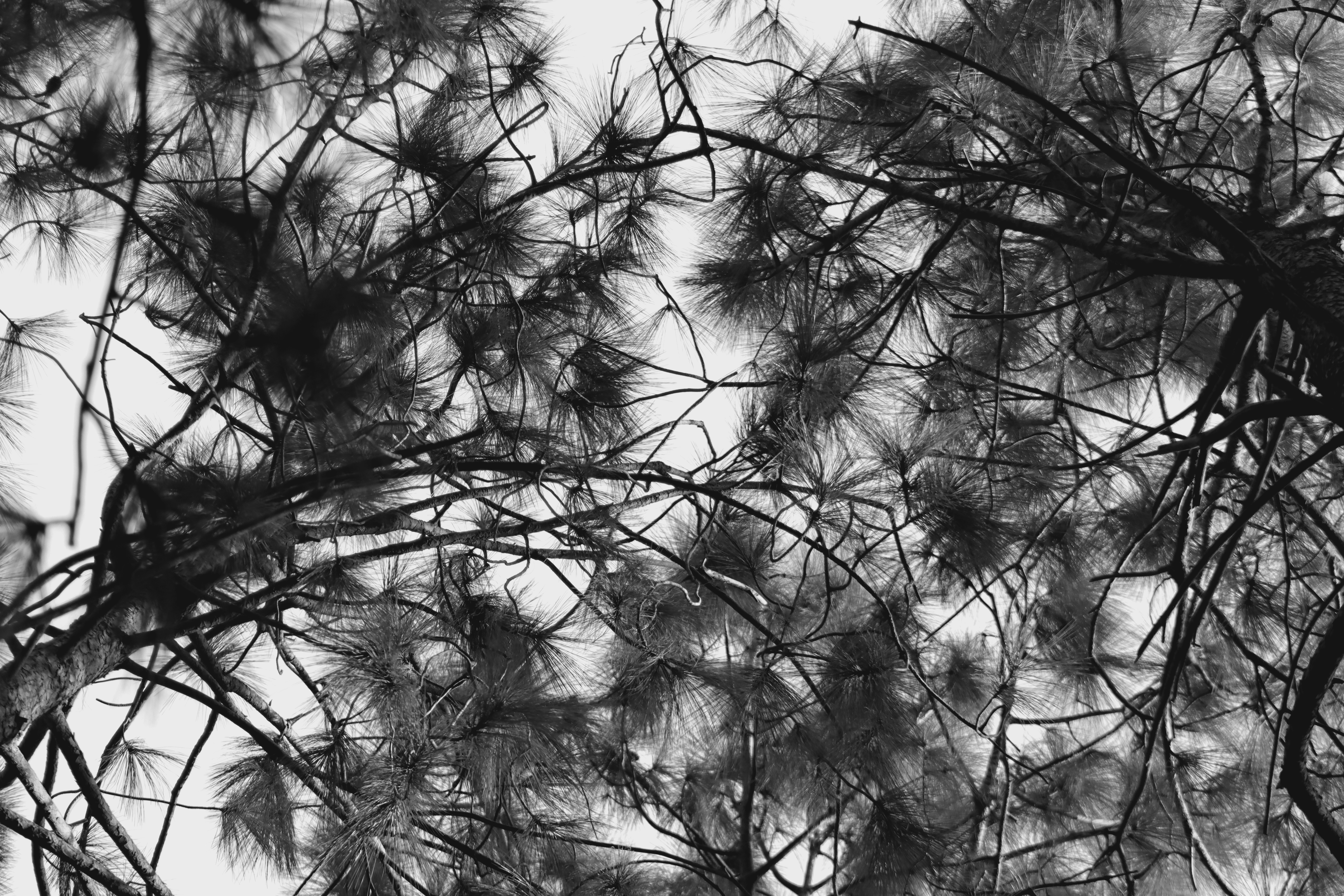 Photo by alihamzatullah