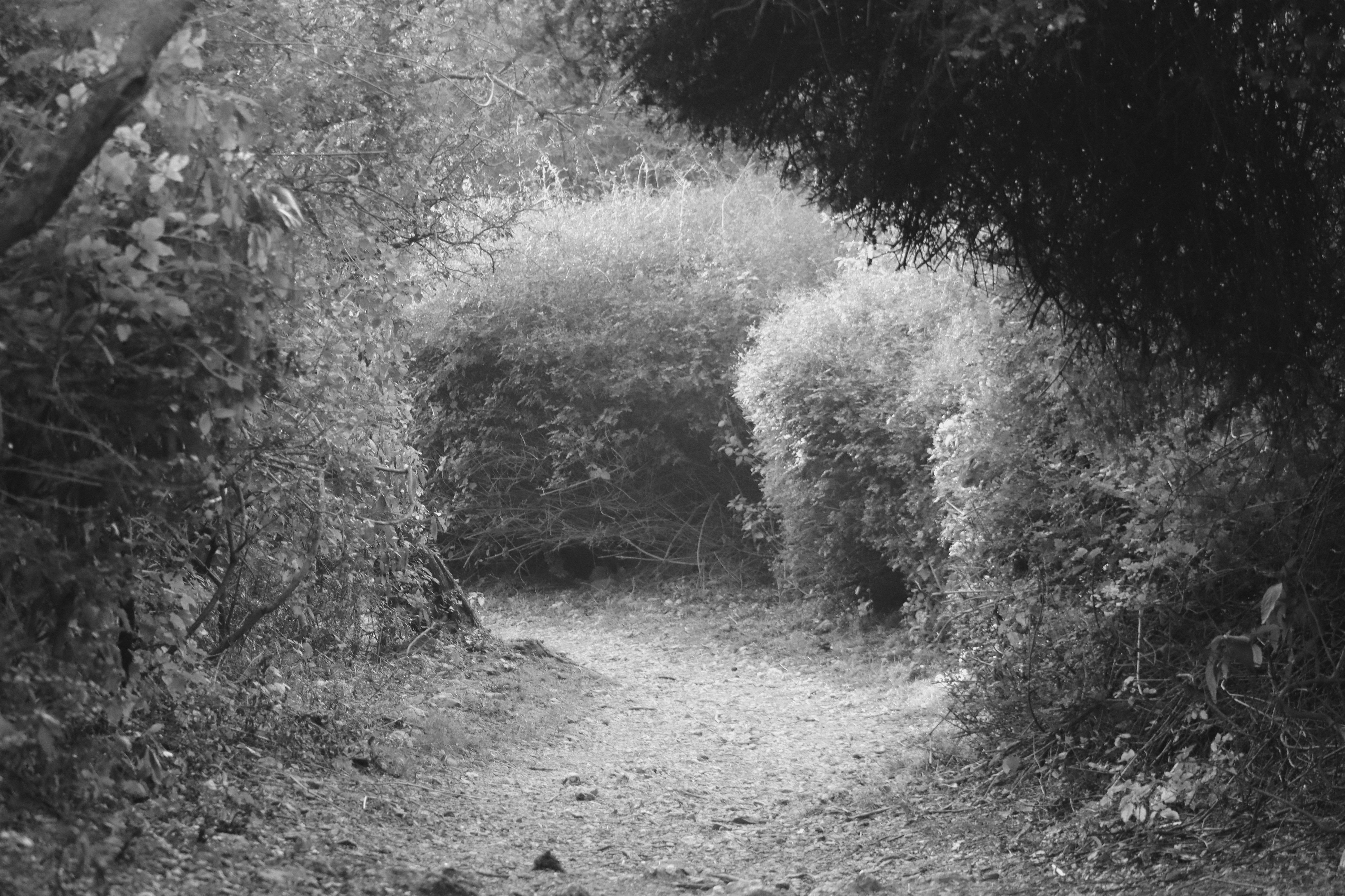 Photo by alihamzatullah