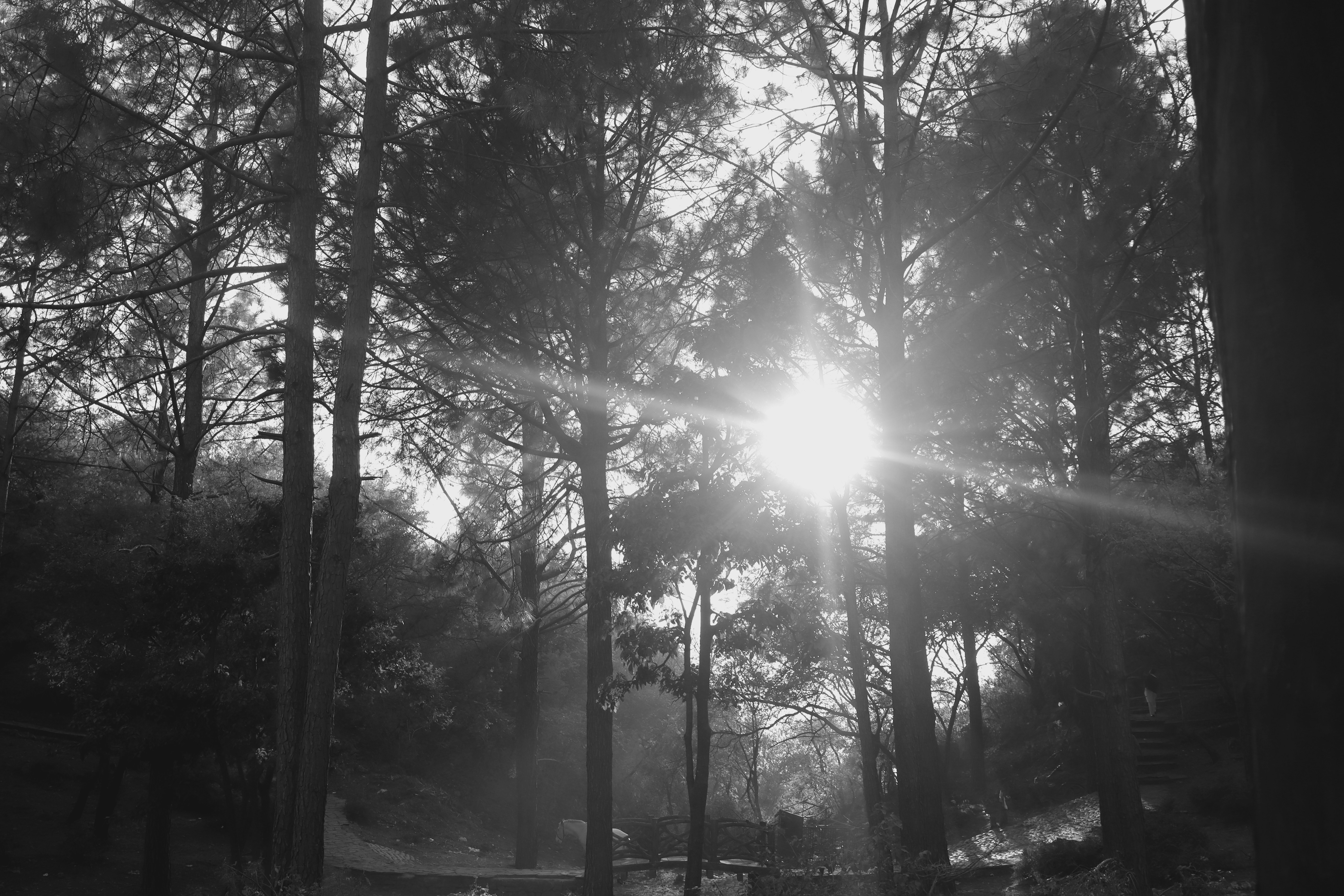 Photo by alihamzatullah