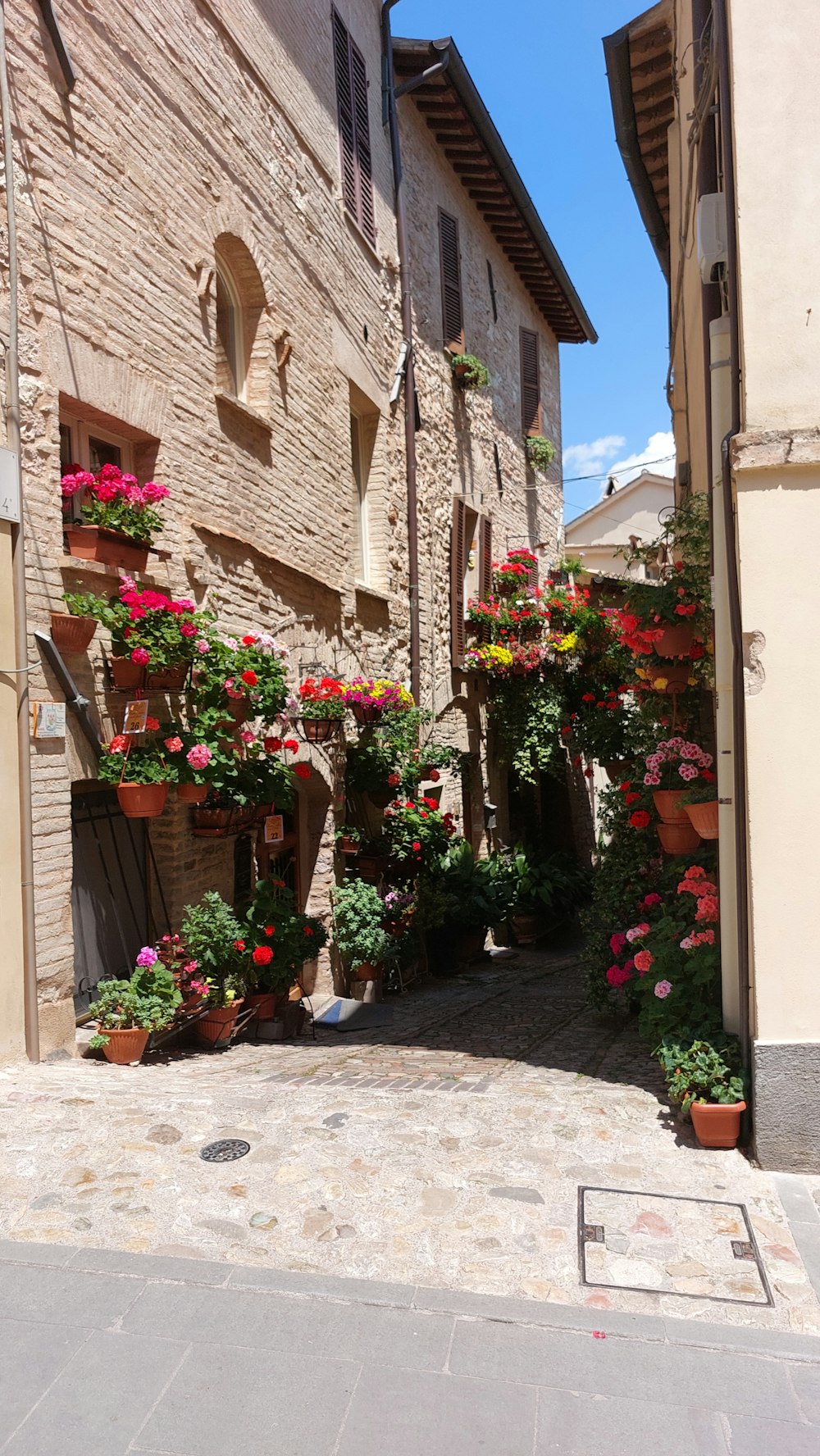 a narrow street with potted flowers on the side of it