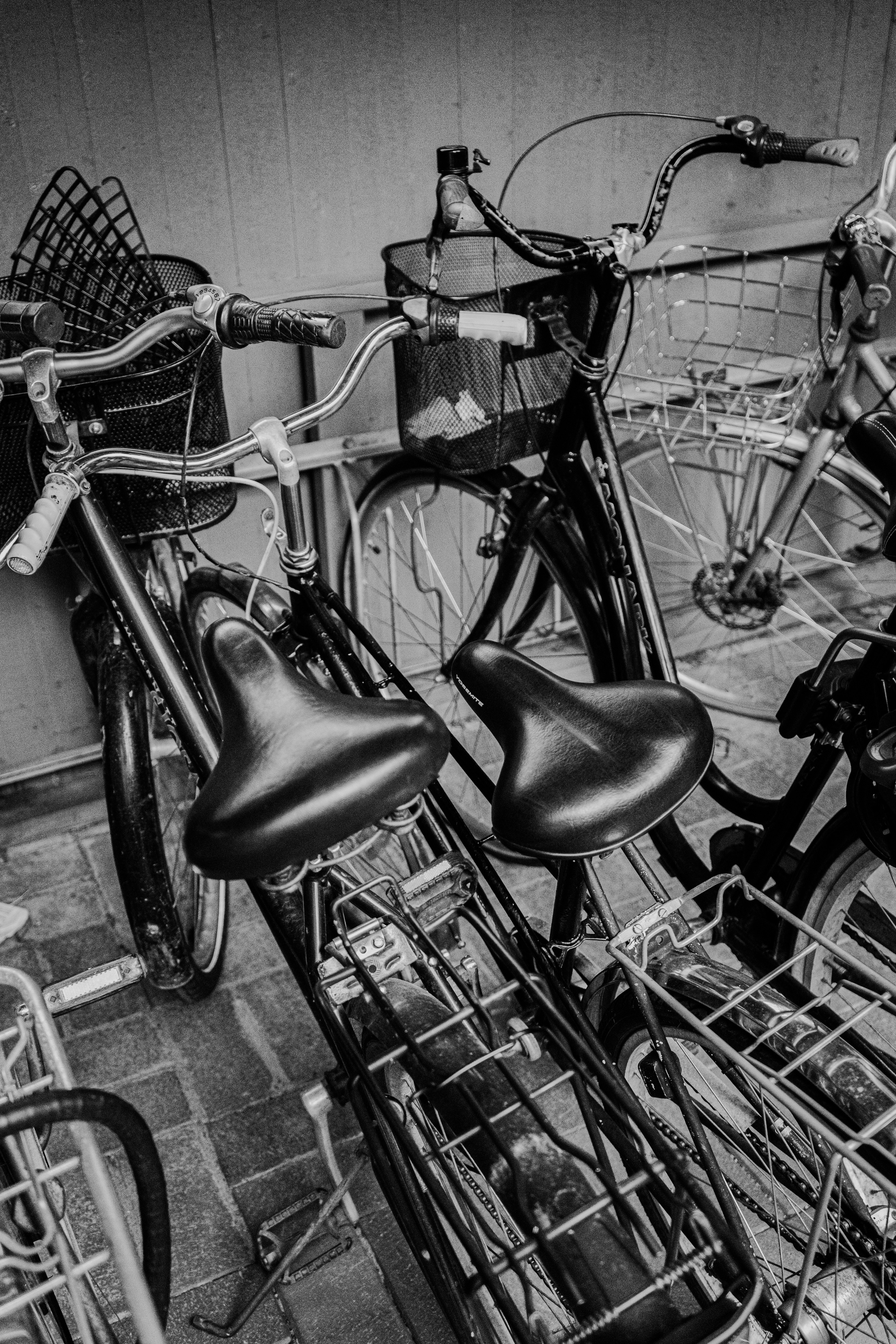 Photo by karthickgislen