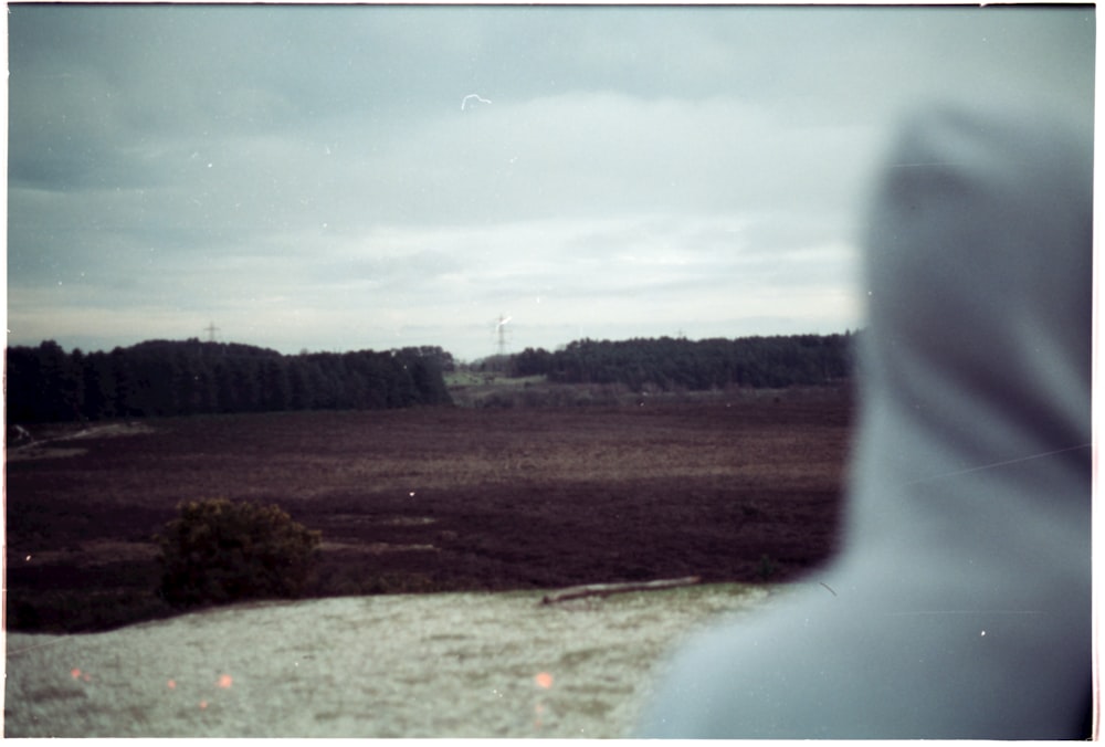 a person looking out a window at a field
