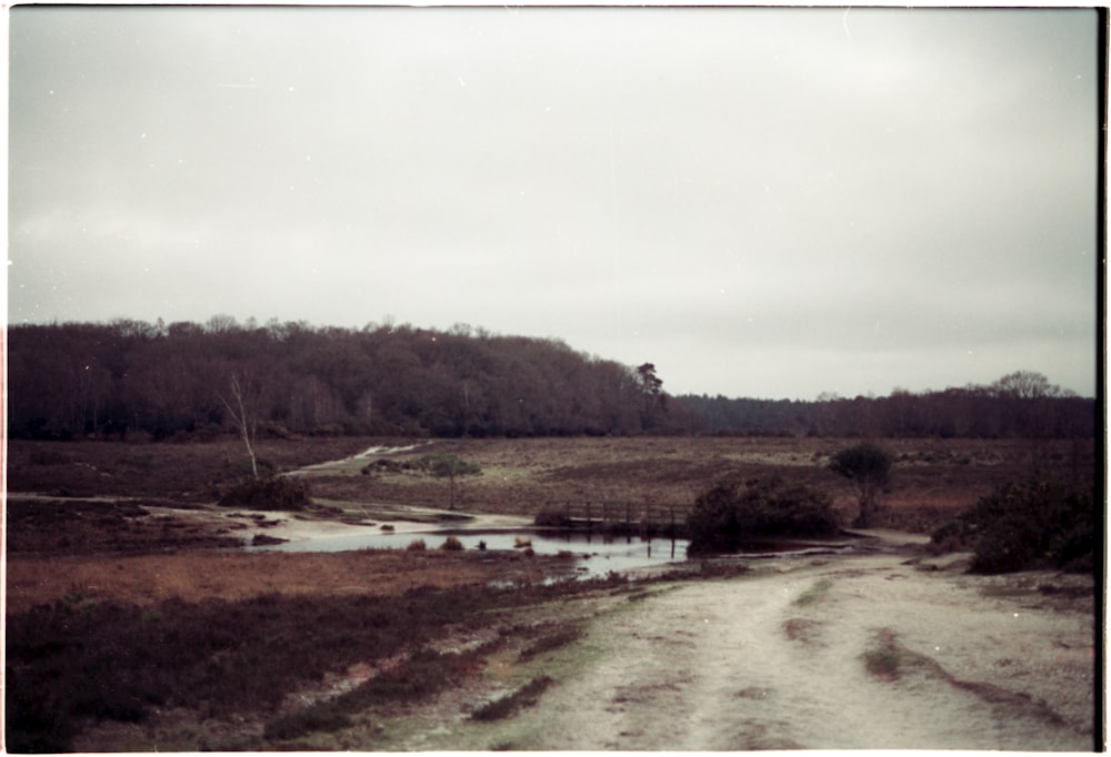 a dirt road in the middle of a field