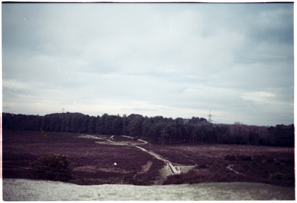 a dirt road in a field with trees in the background