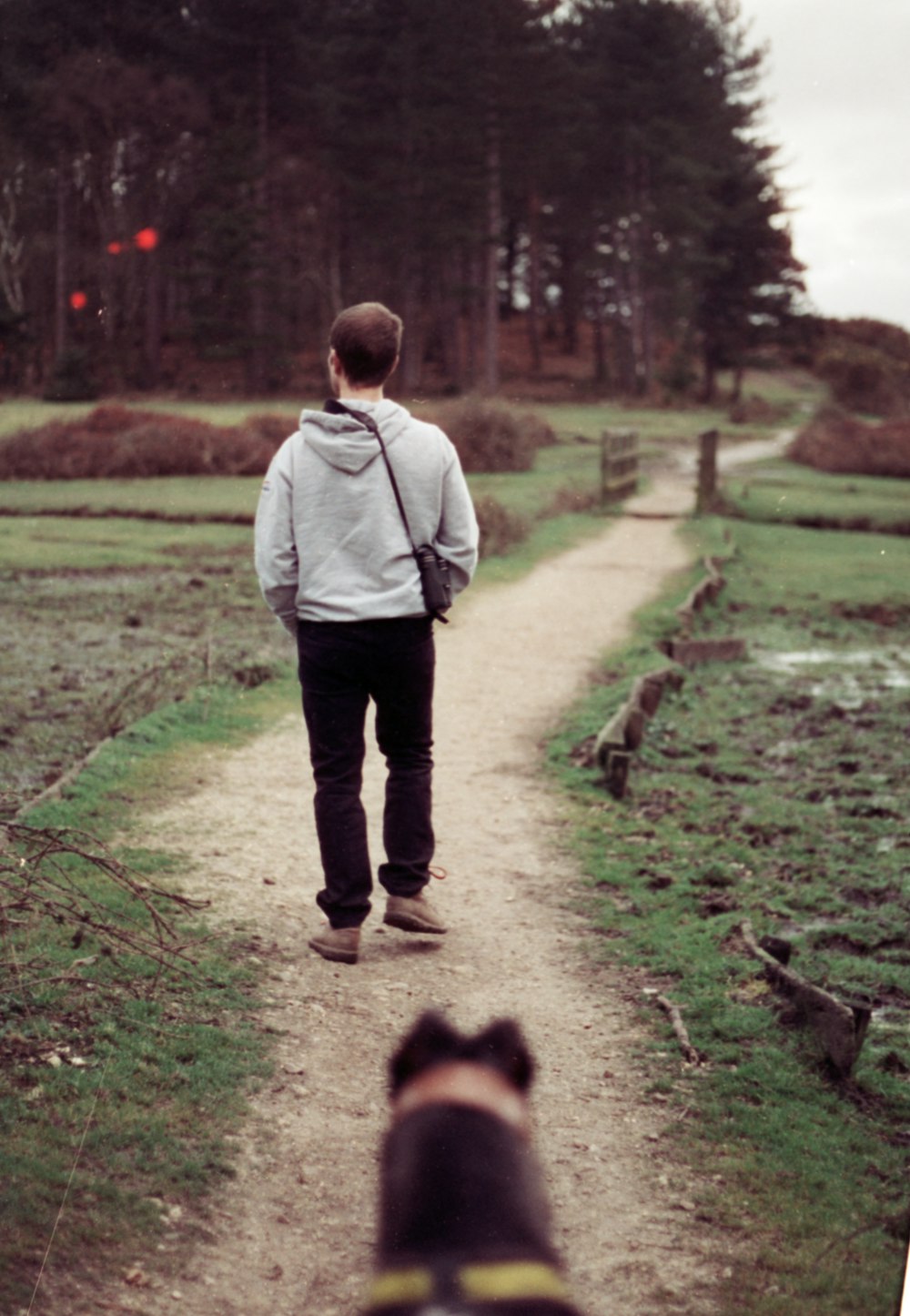 a man walking a dog down a dirt road