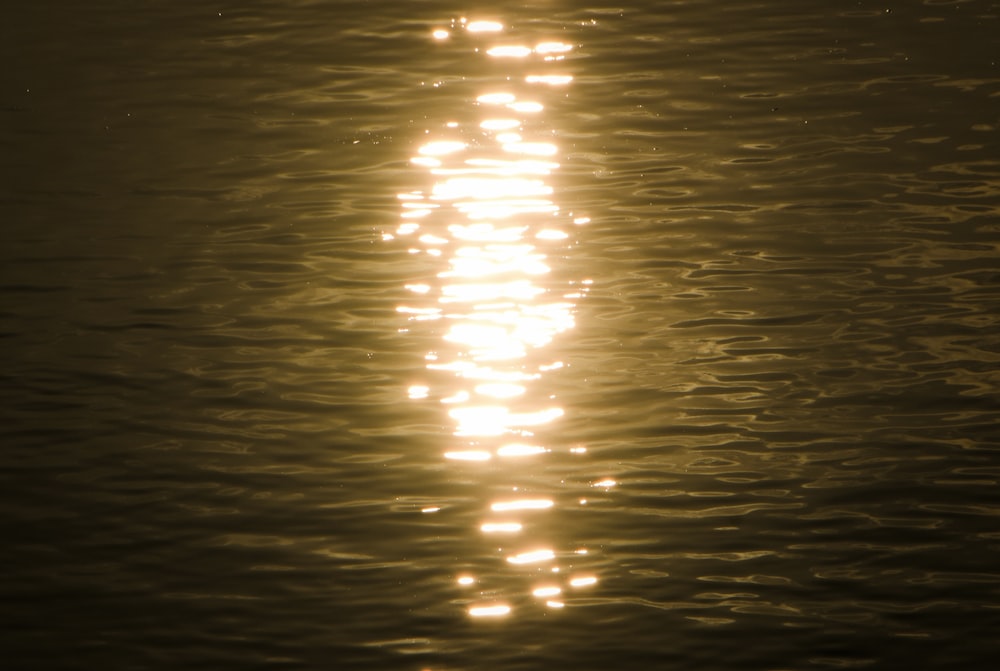 the reflection of the sun on the water