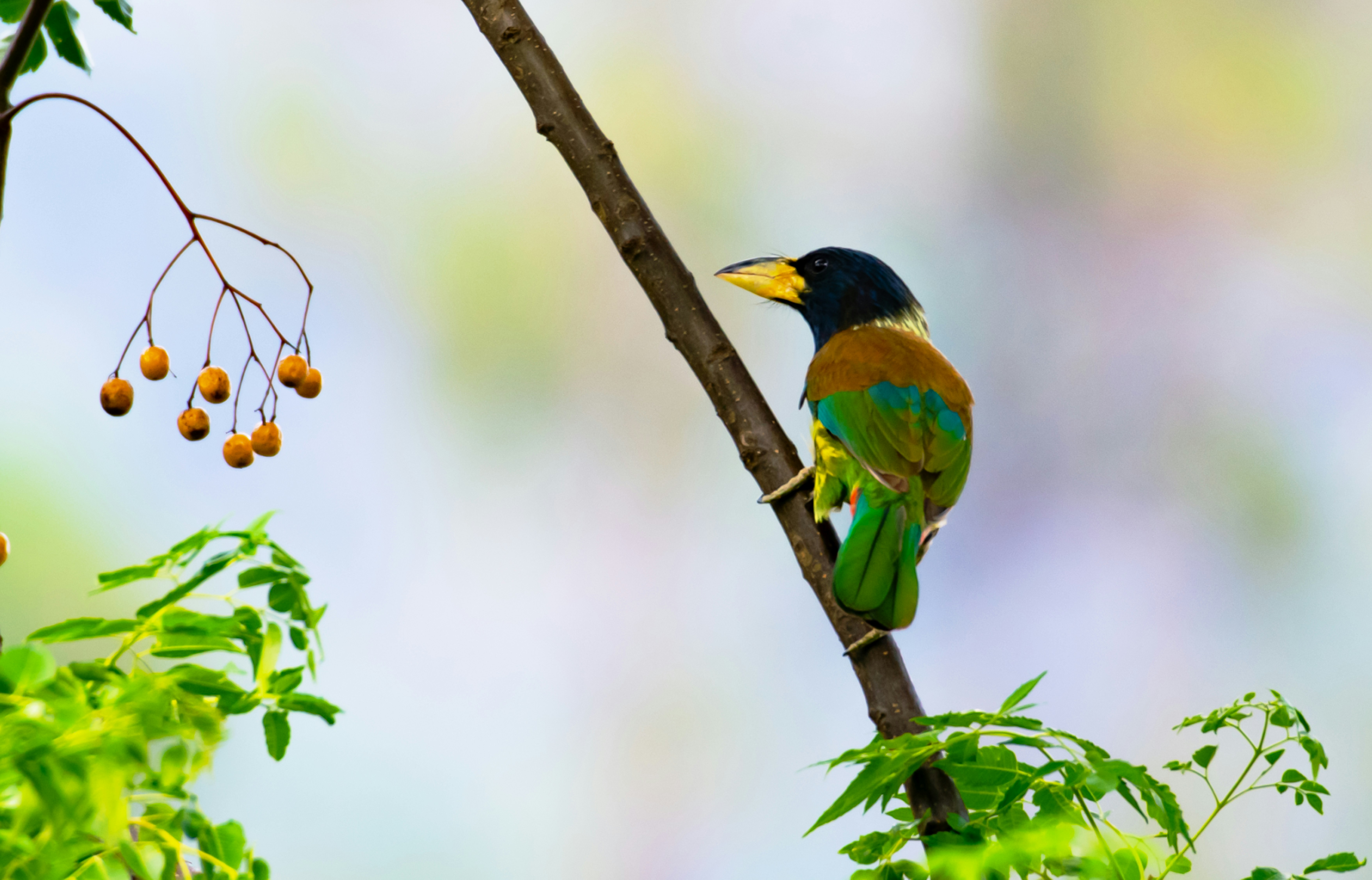 Photo by mhphotography13