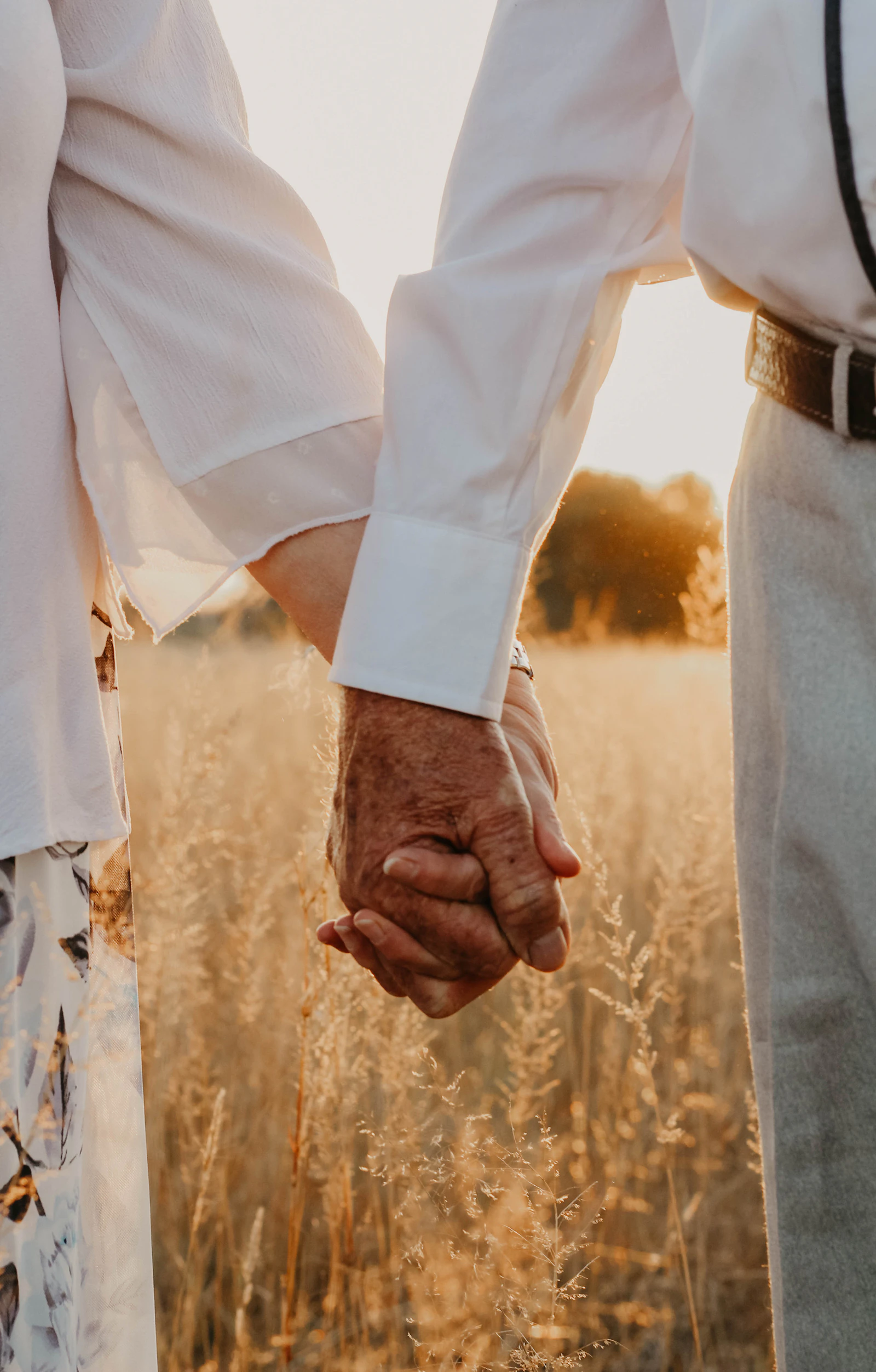 Gros plan sur les mains d'un couple âgé, évoquant la succession et la transmission entre conjoints