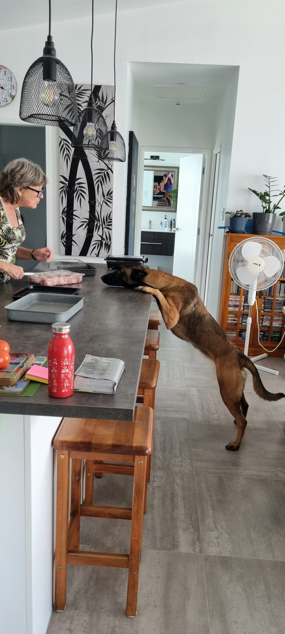 a woman standing in a kitchen with a dog