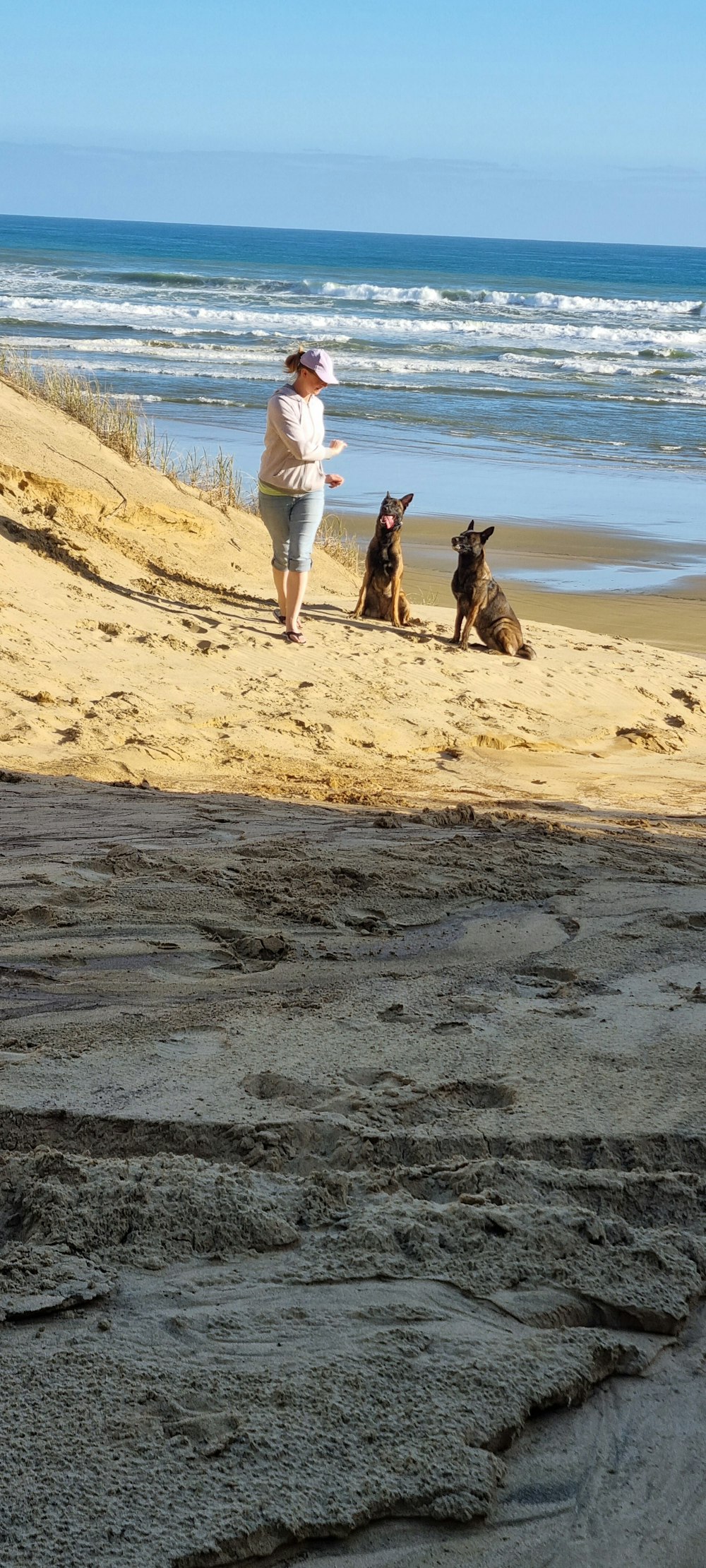 a person walking on a beach with two dogs
