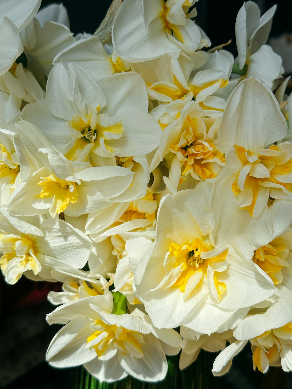 a bunch of white and yellow flowers in a vase