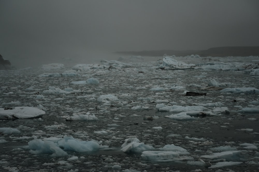 a large amount of ice floating on top of a body of water