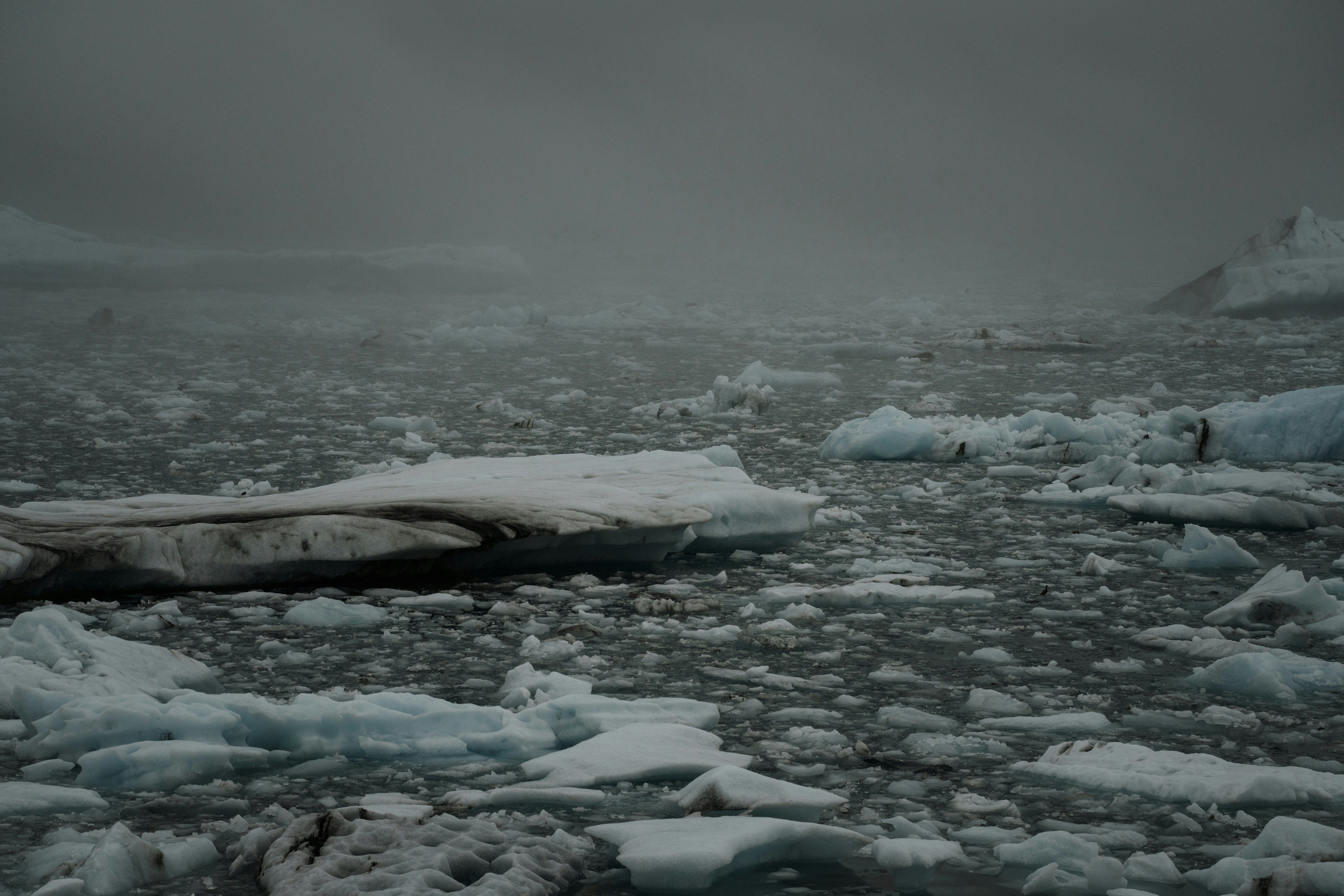 Photo by dubai_love_story