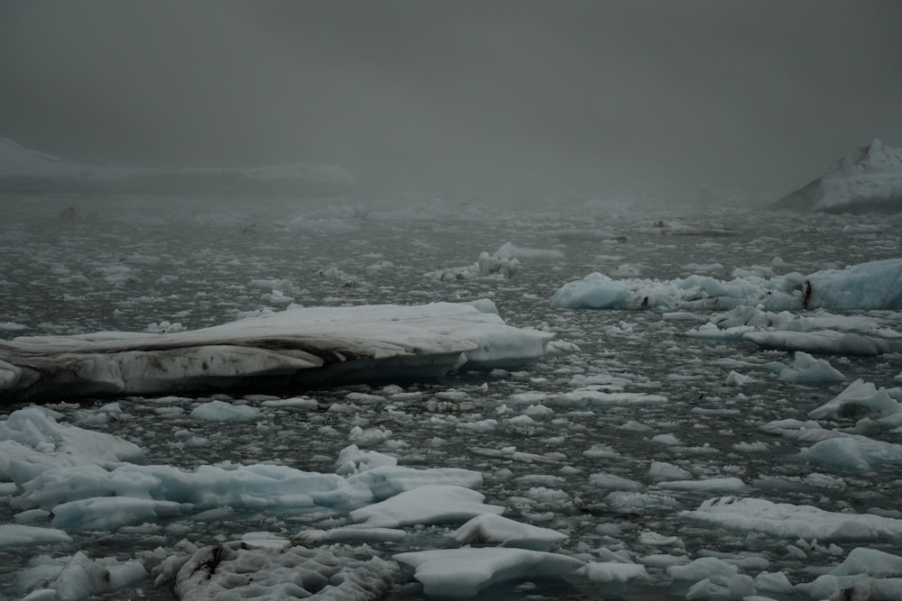 a group of icebergs floating on top of a body of water