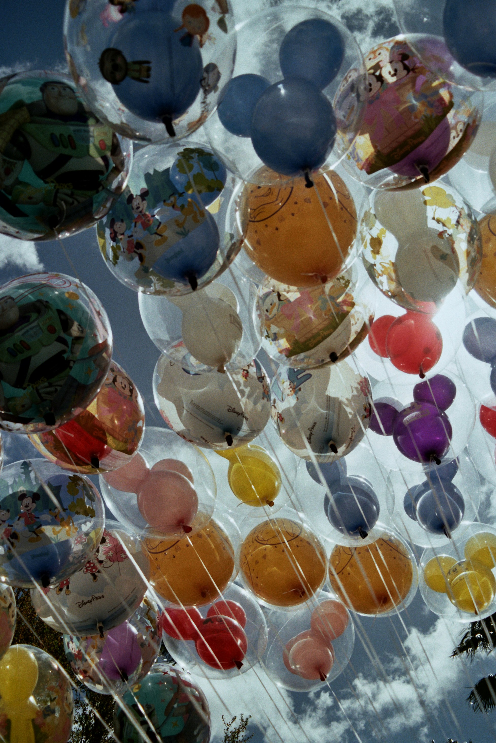 Photo by imgavinwilson