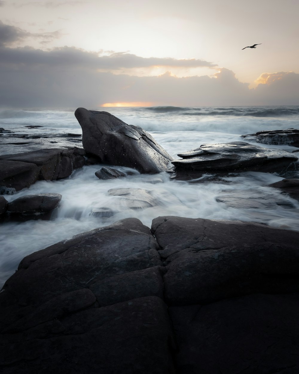 a bird flying over some rocks in the water