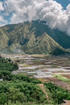 a view of a valley with mountains in the background