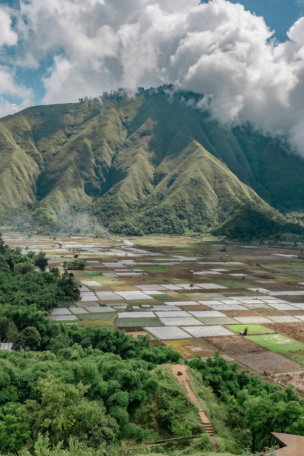 a view of a valley with mountains in the background