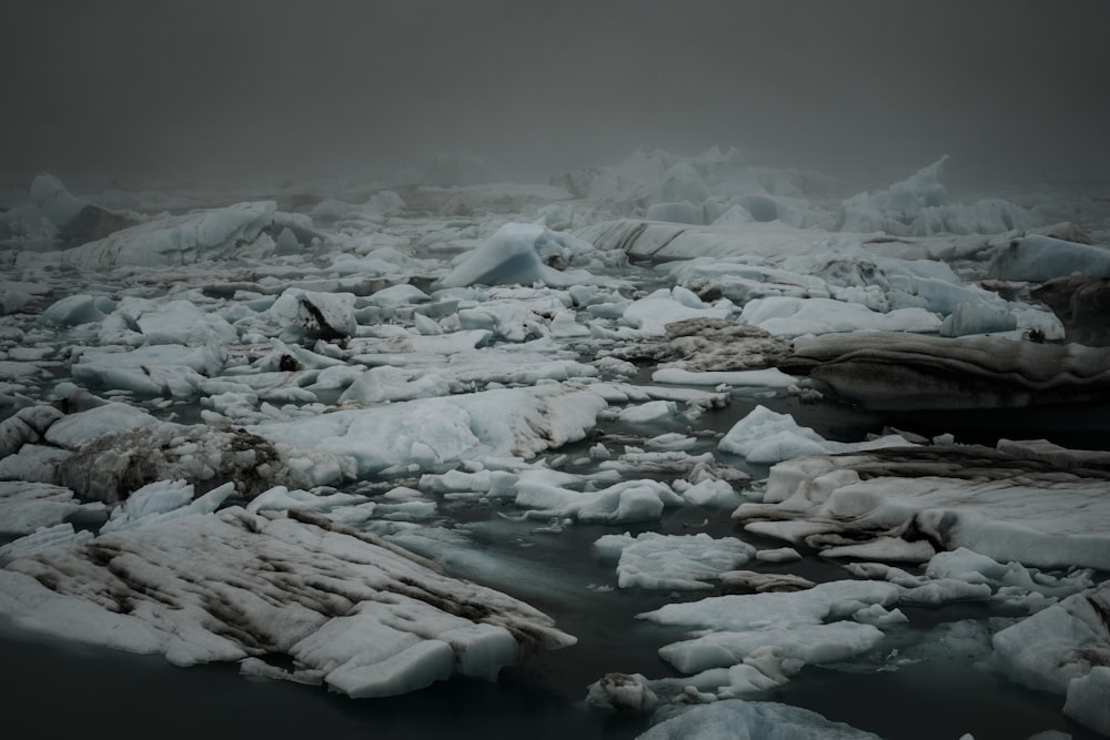 a large amount of ice floating on top of a body of water