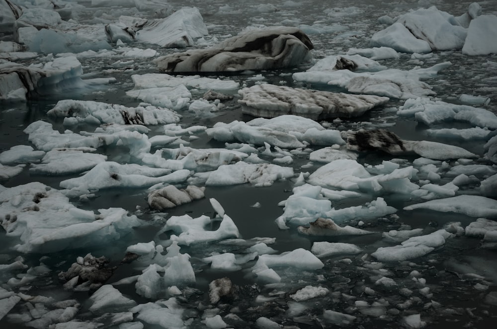 a large amount of ice floating on top of a body of water