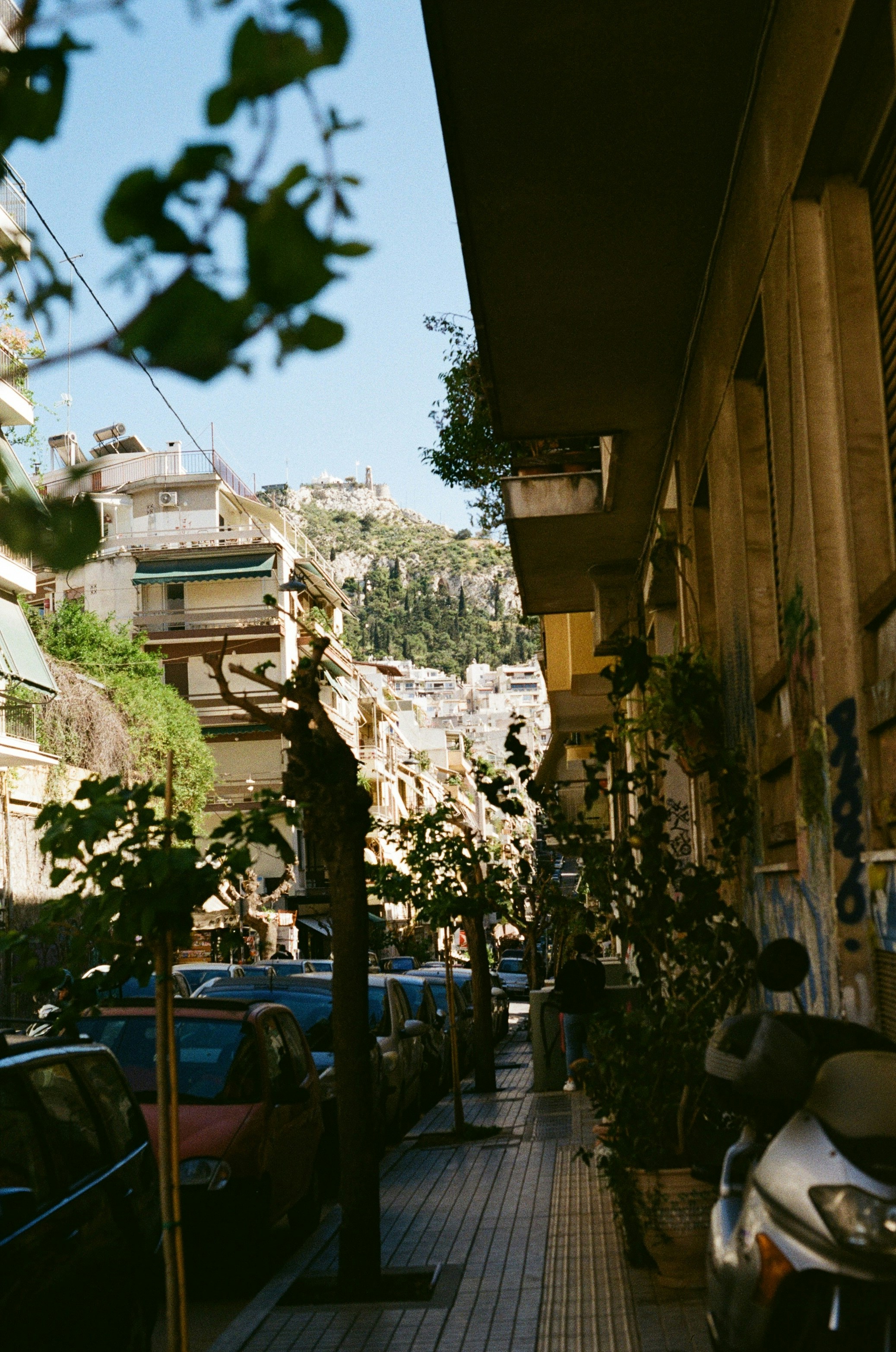 Photo by thesilvafocus