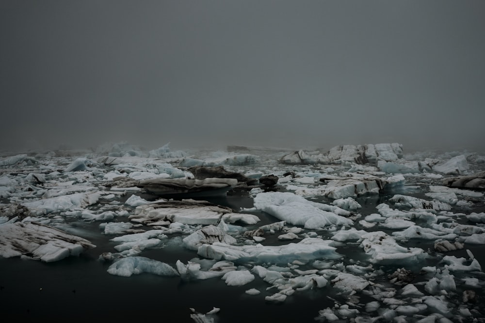 a large amount of ice floating on top of a body of water