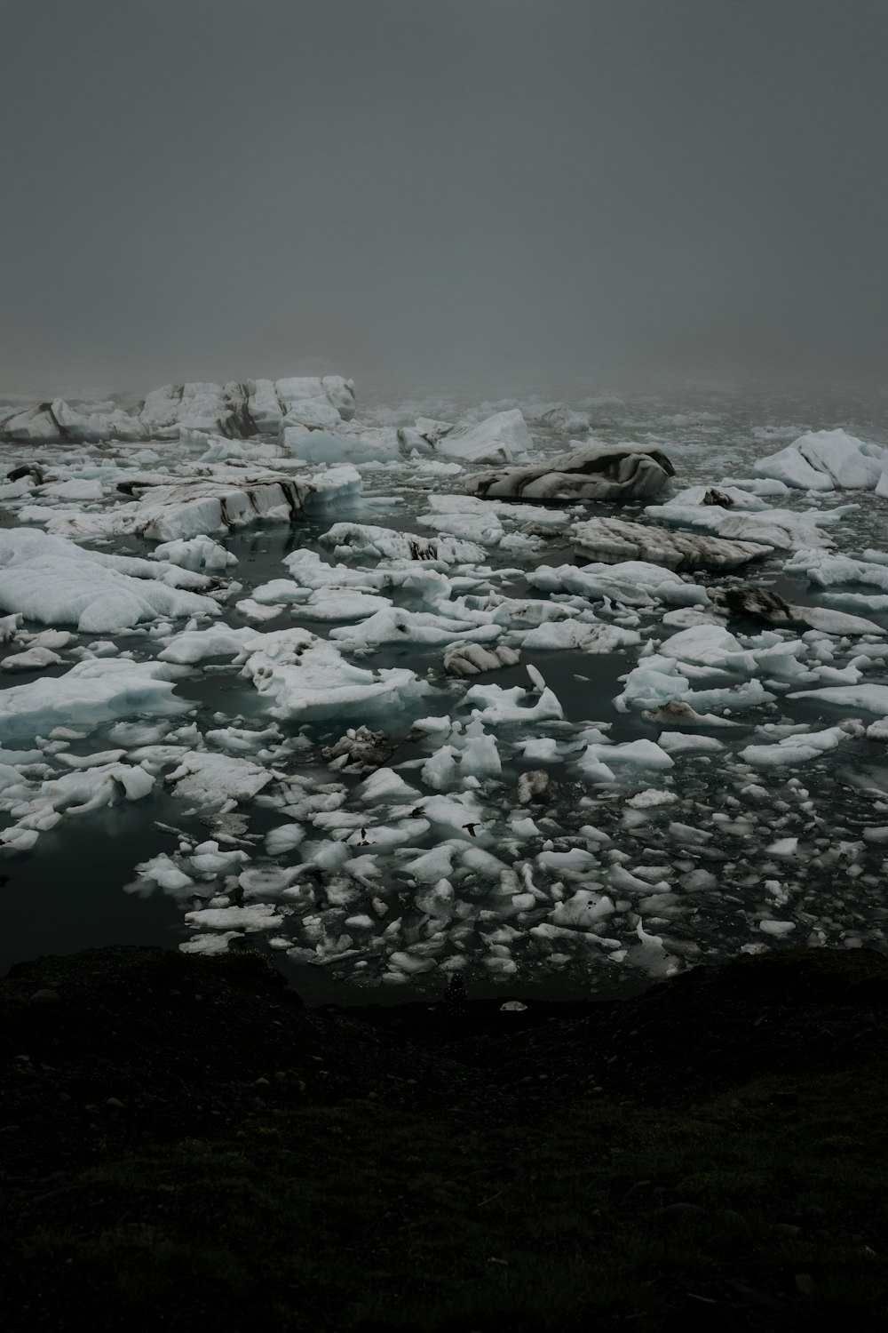 a large amount of ice floating on top of a body of water