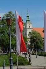 a group of flags that are next to a street light