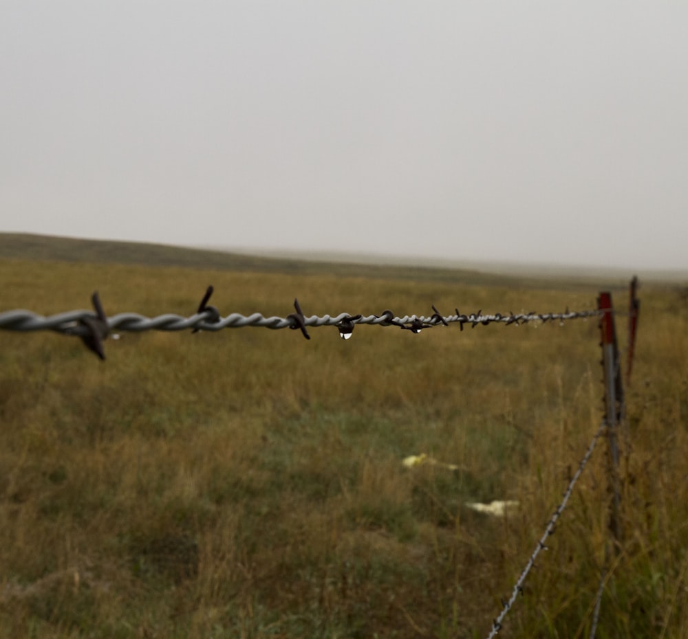 a barbed wire fence in the middle of a field