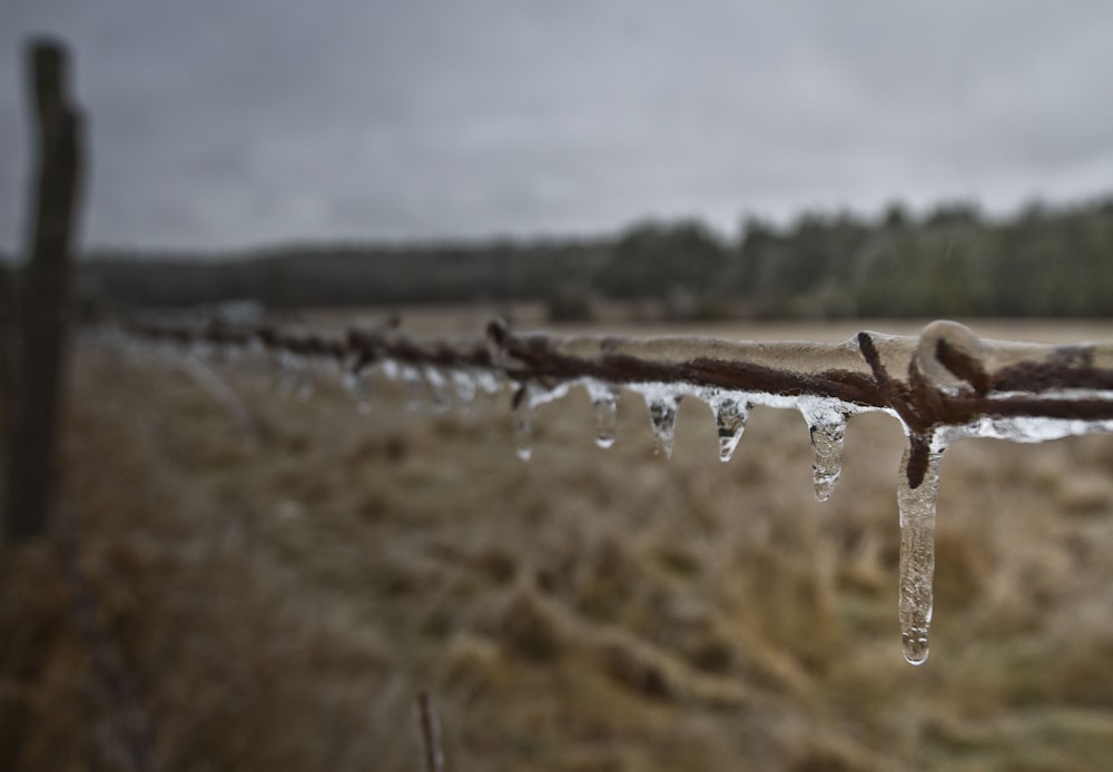 a barbed wire fence with icicles hanging from it