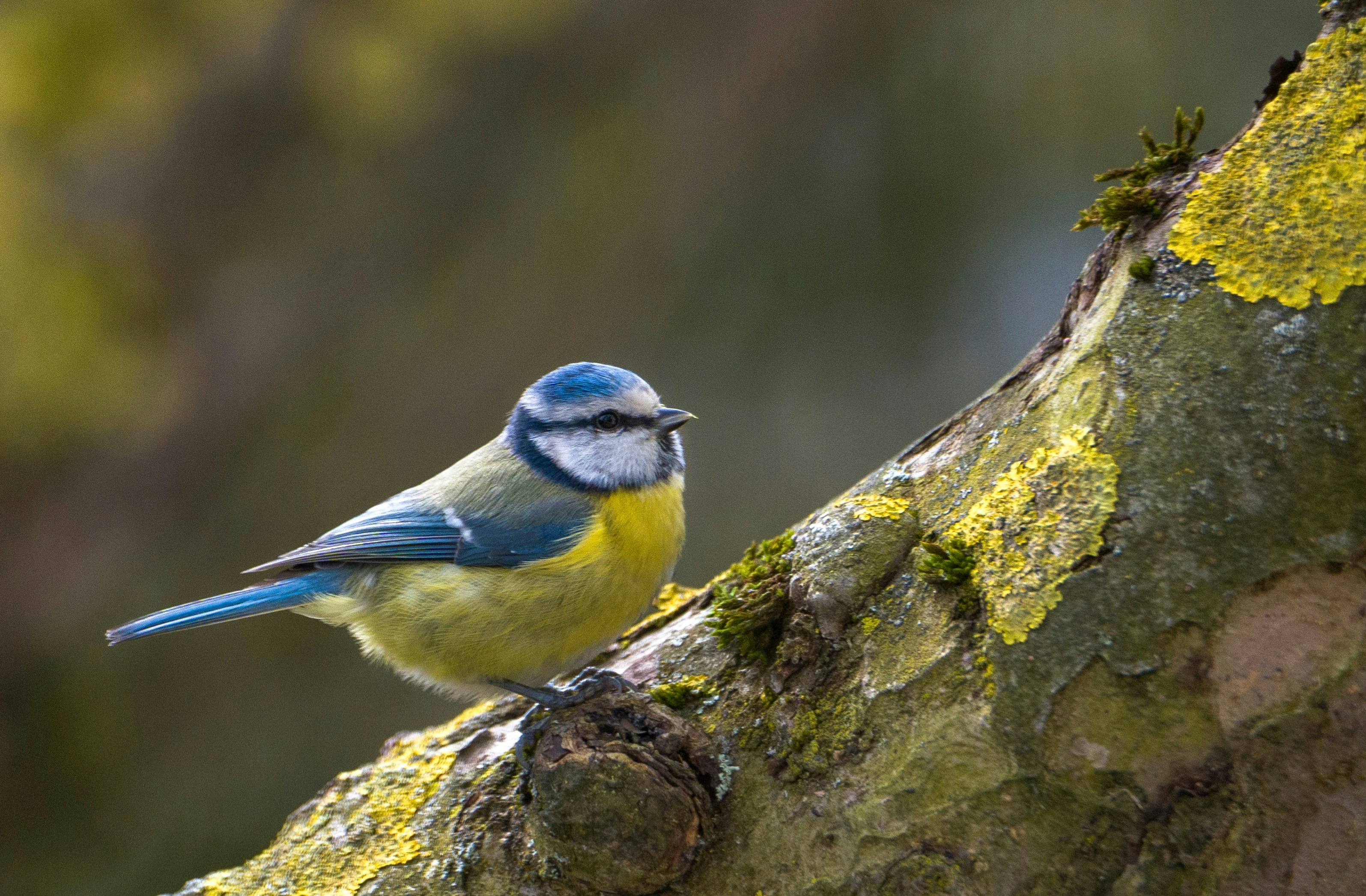 Photo by ad_sportfotograf