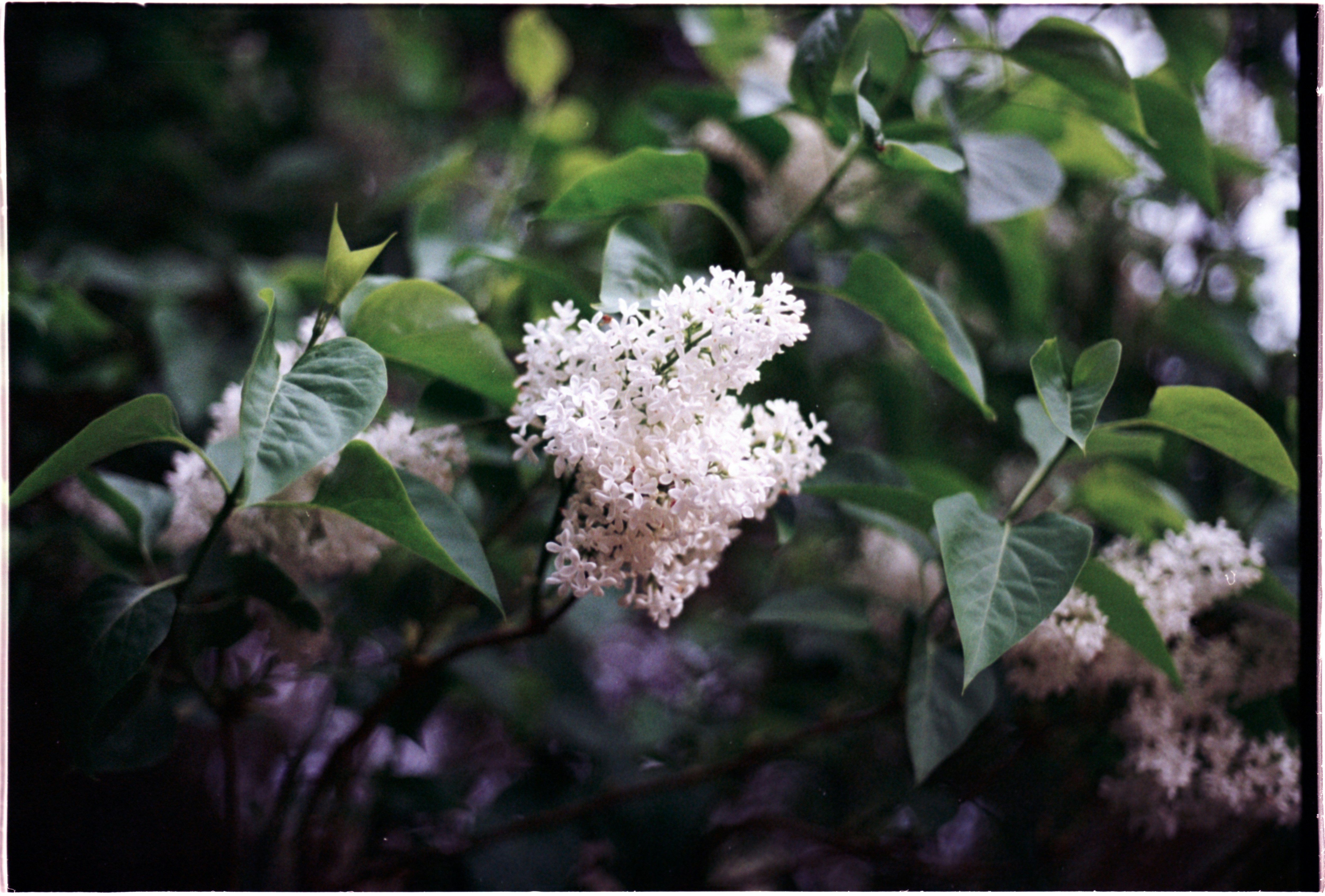 Photo by anniespratt