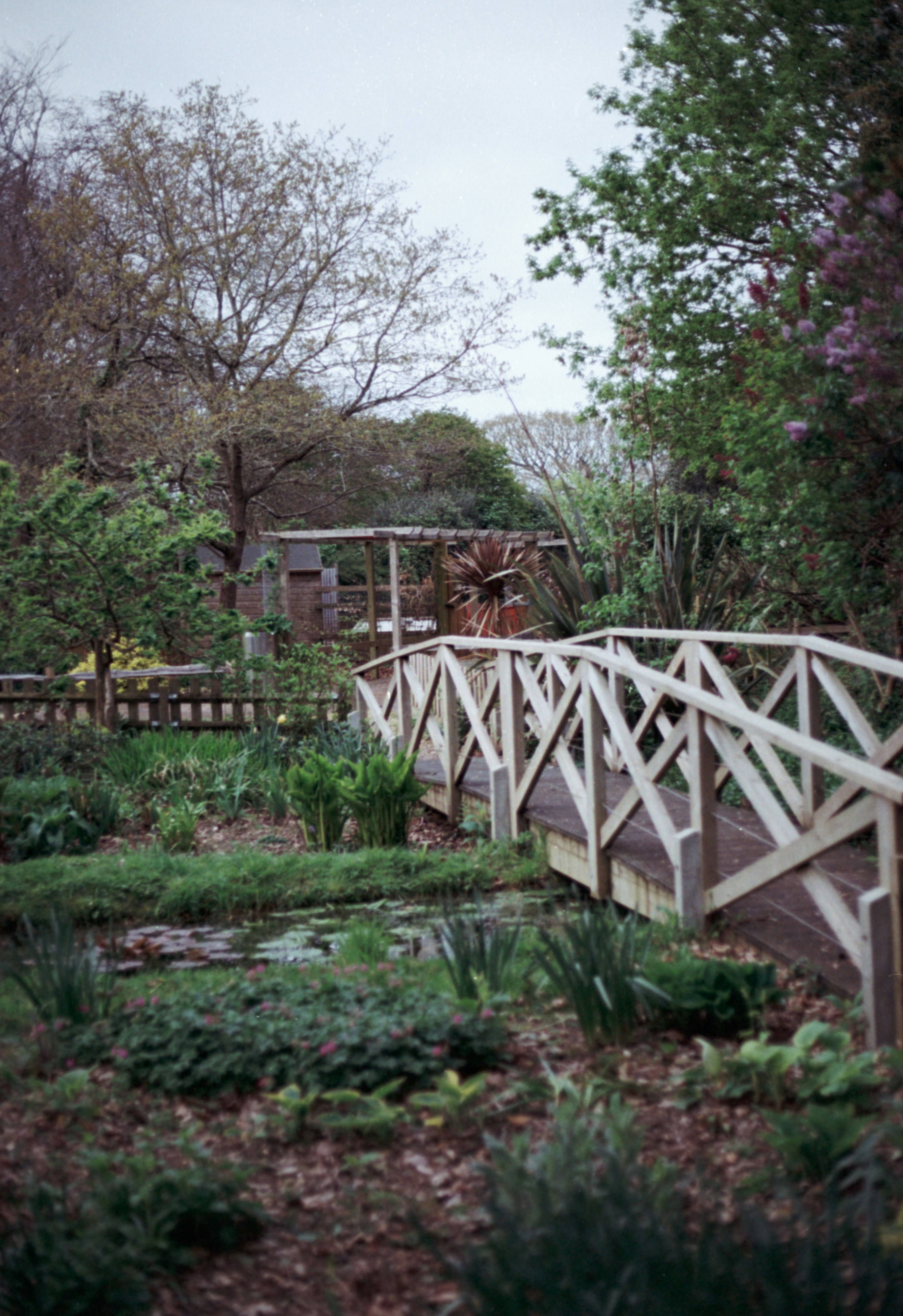 Photo by anniespratt