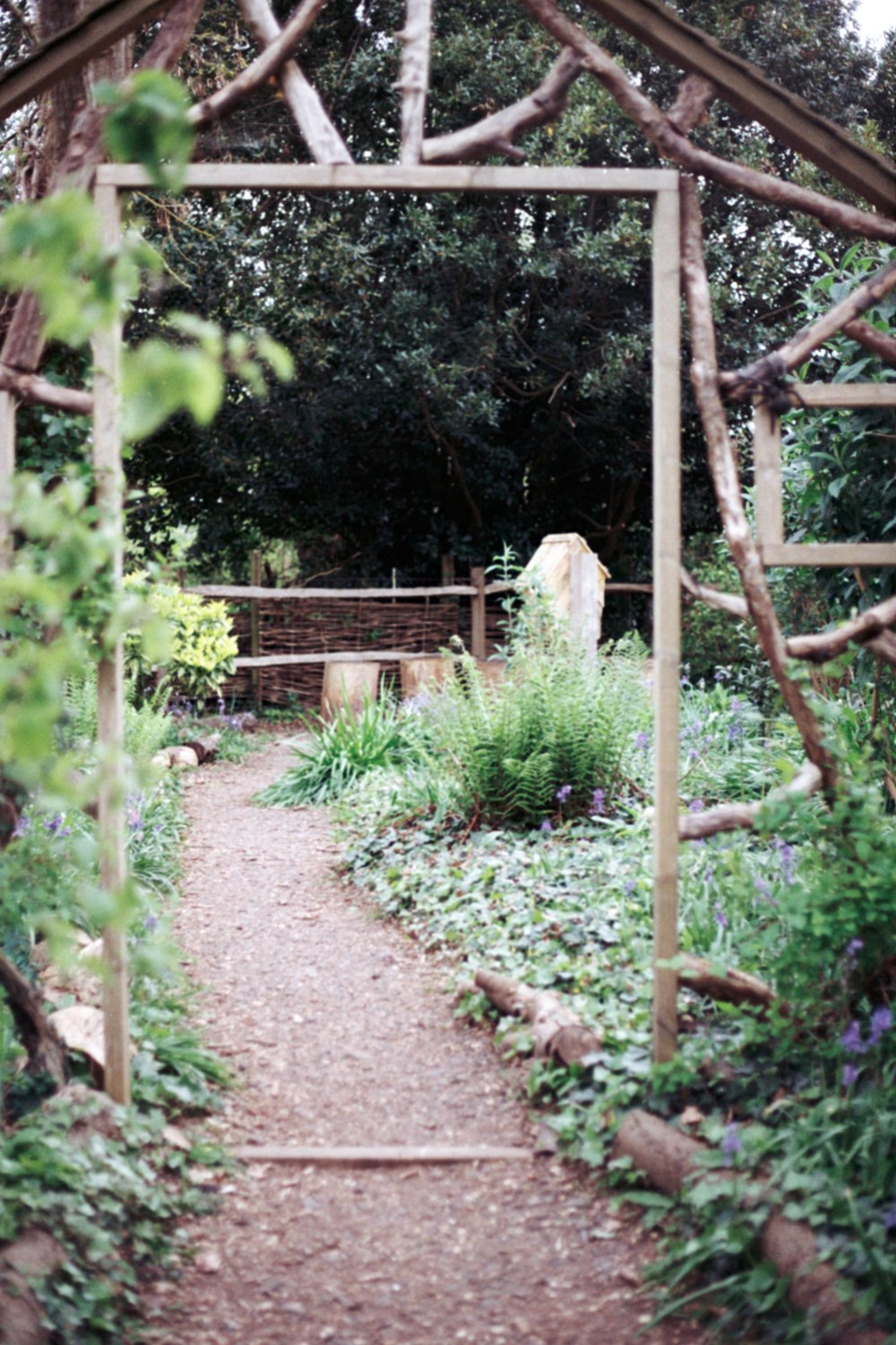 a garden with a path through it