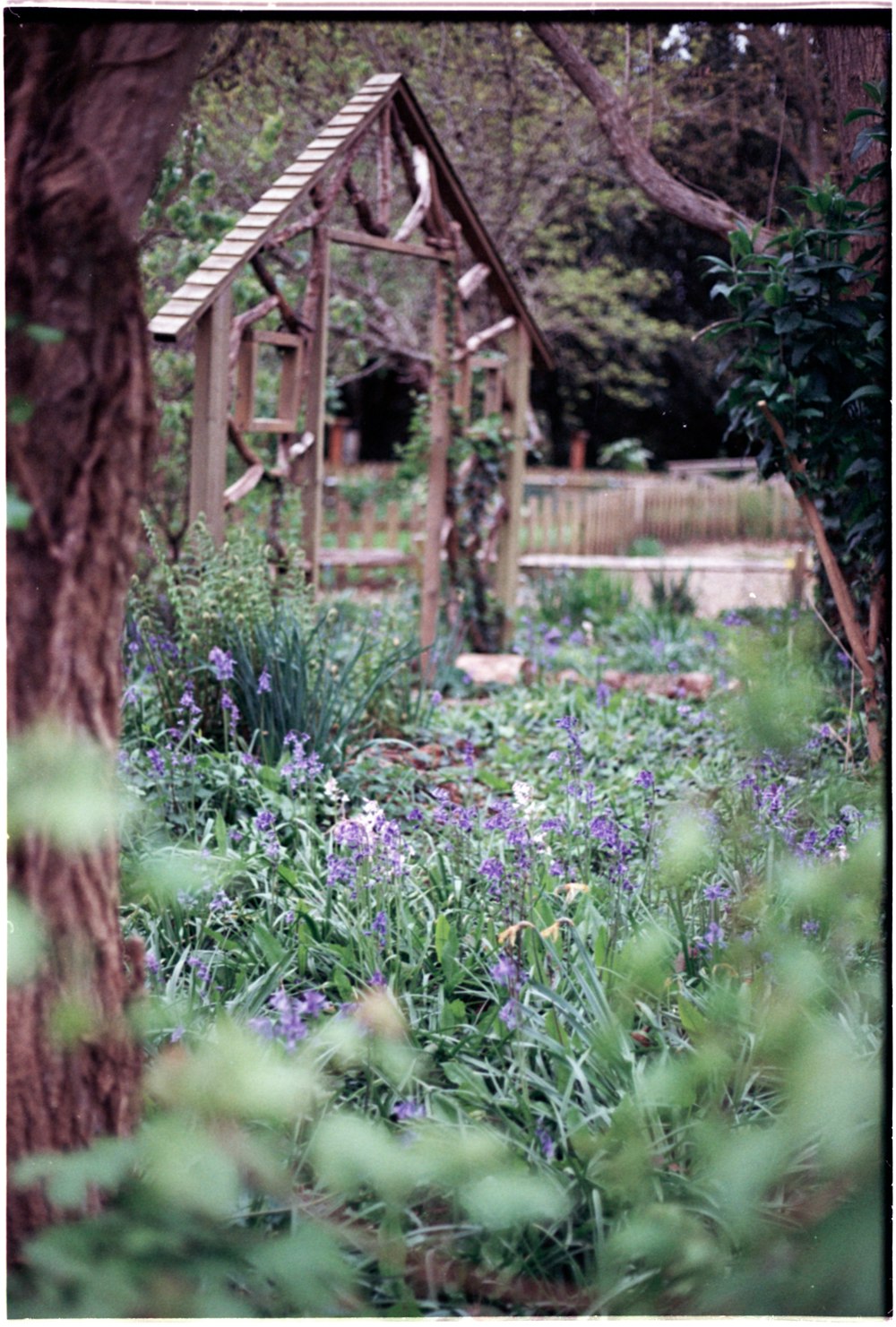 a wooden structure in the middle of a garden