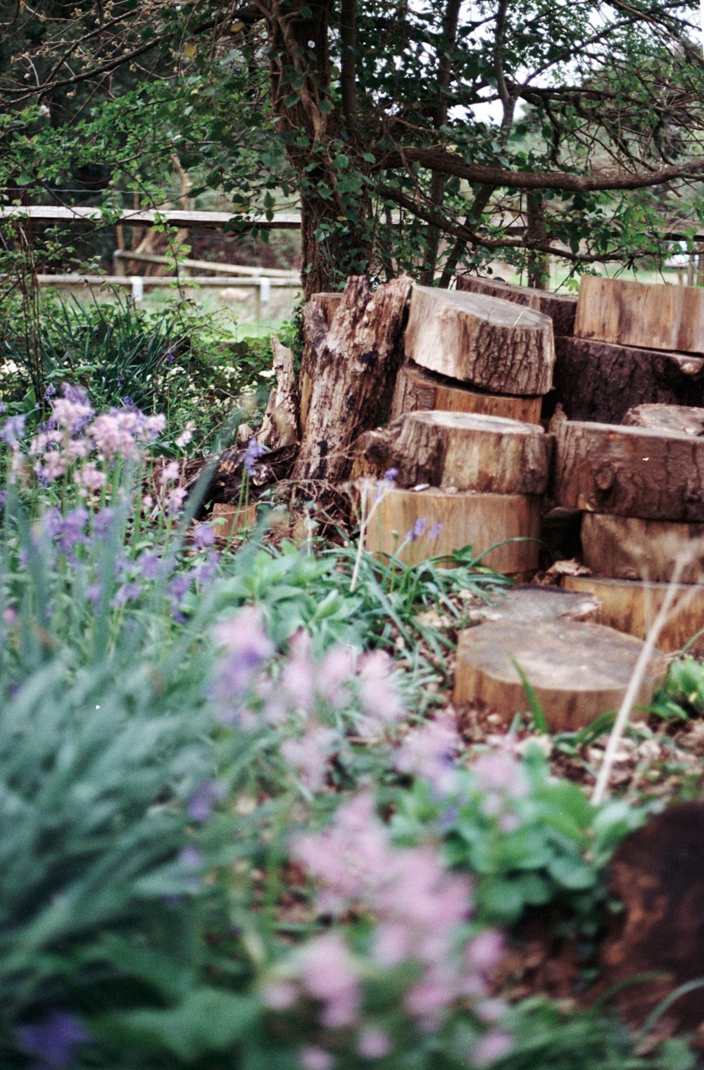 a pile of wood sitting next to a lush green field