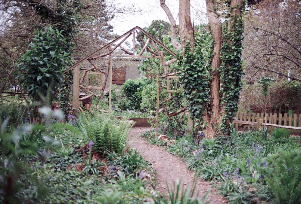 a garden with a wooden structure surrounded by greenery