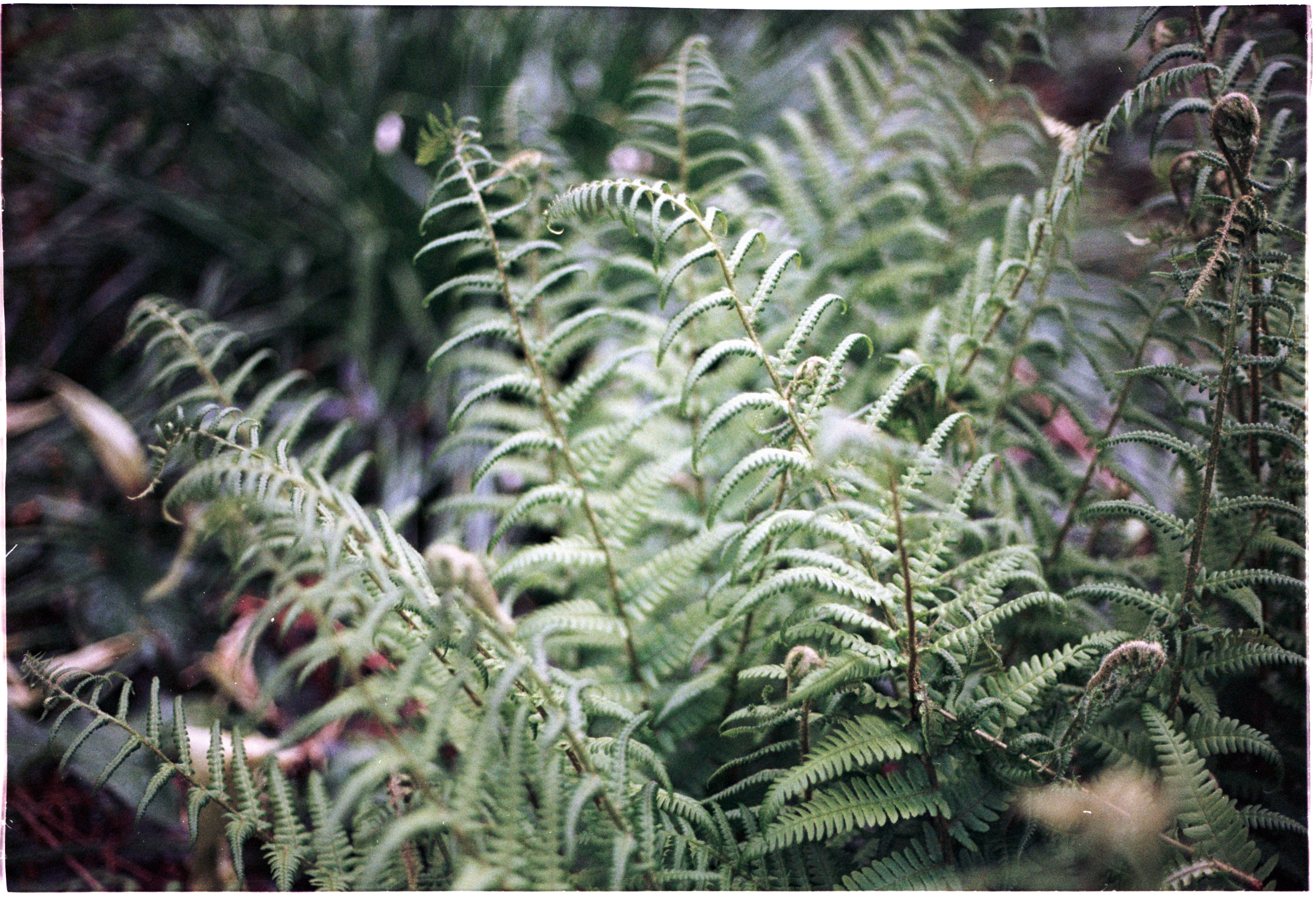 Photo by anniespratt