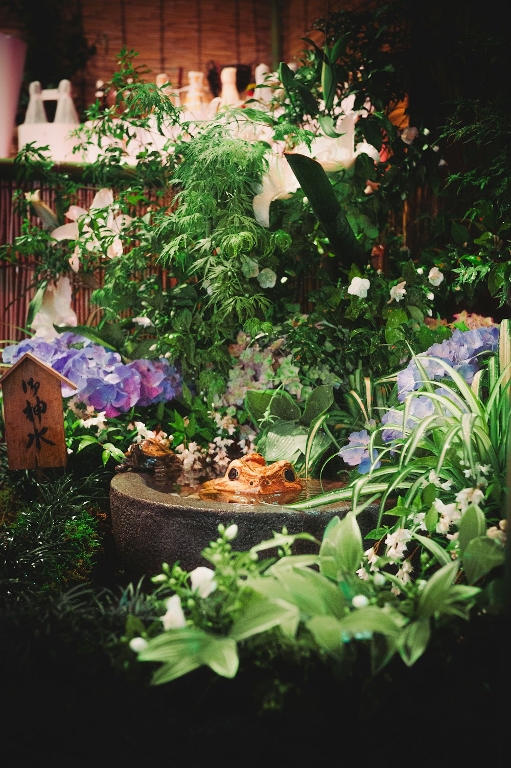 a garden filled with lots of green plants