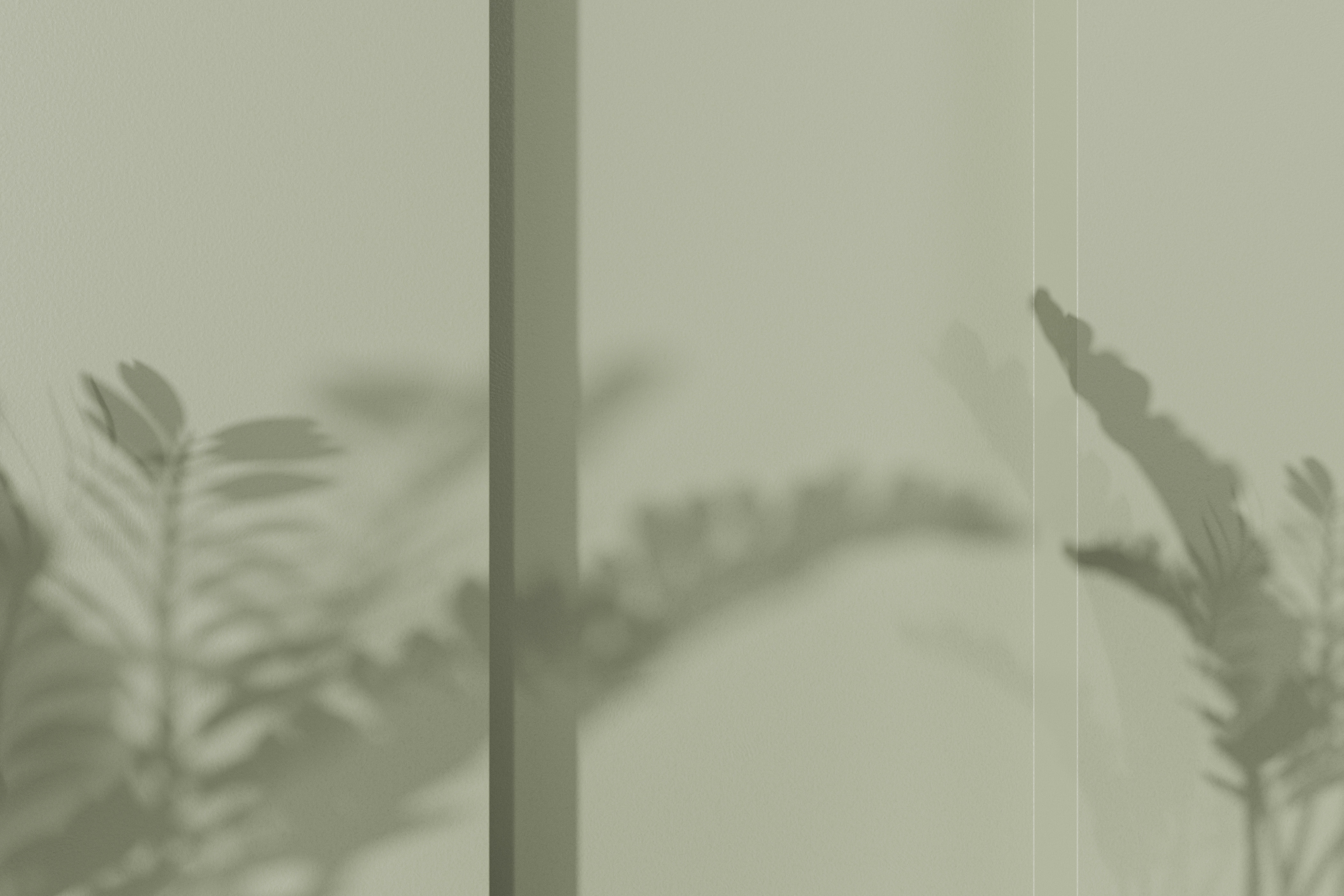 Delicate eucalyptus leaves casting ethereal, quiet shadows on a neutral beige wall