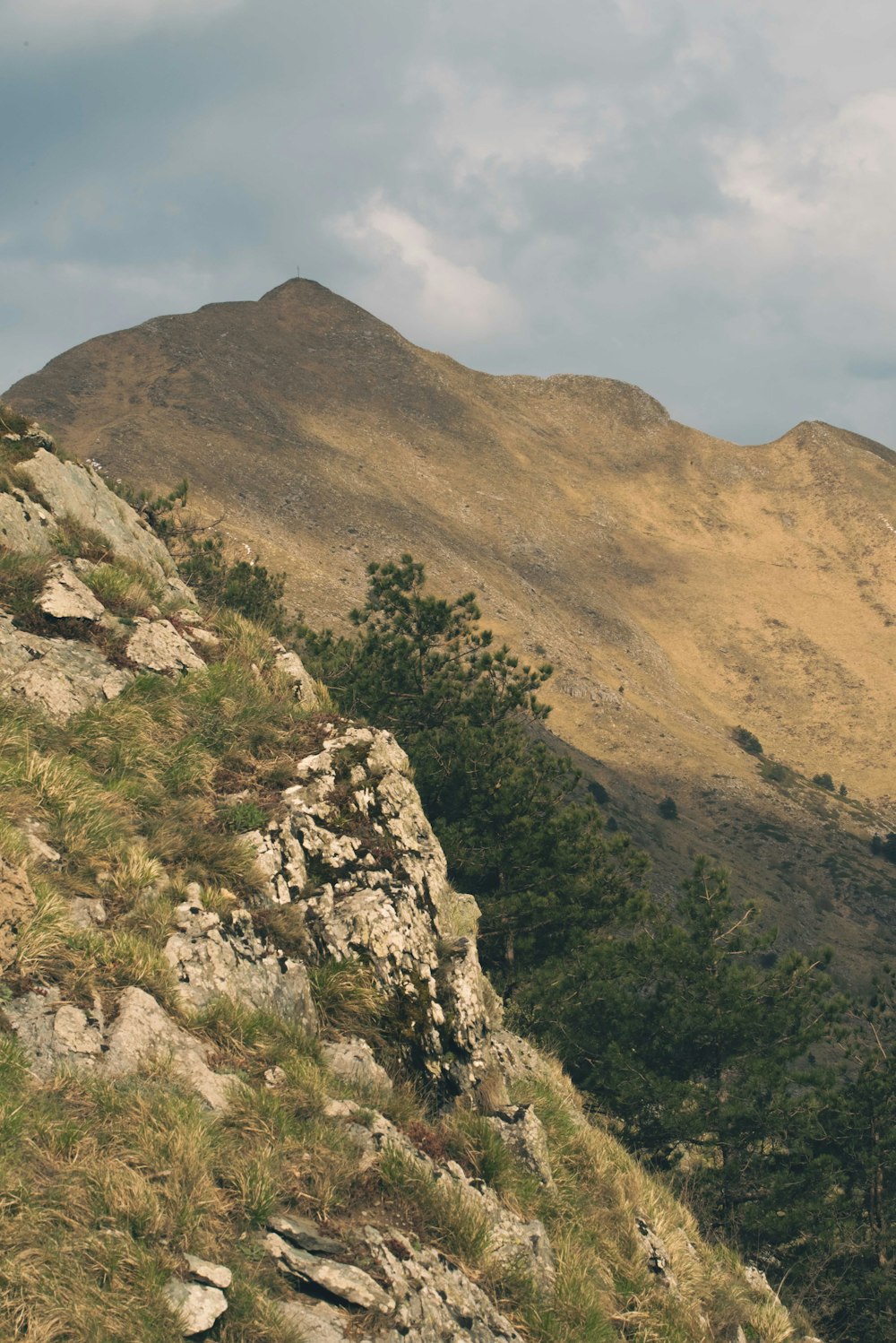 a person standing on top of a mountain with a surfboard