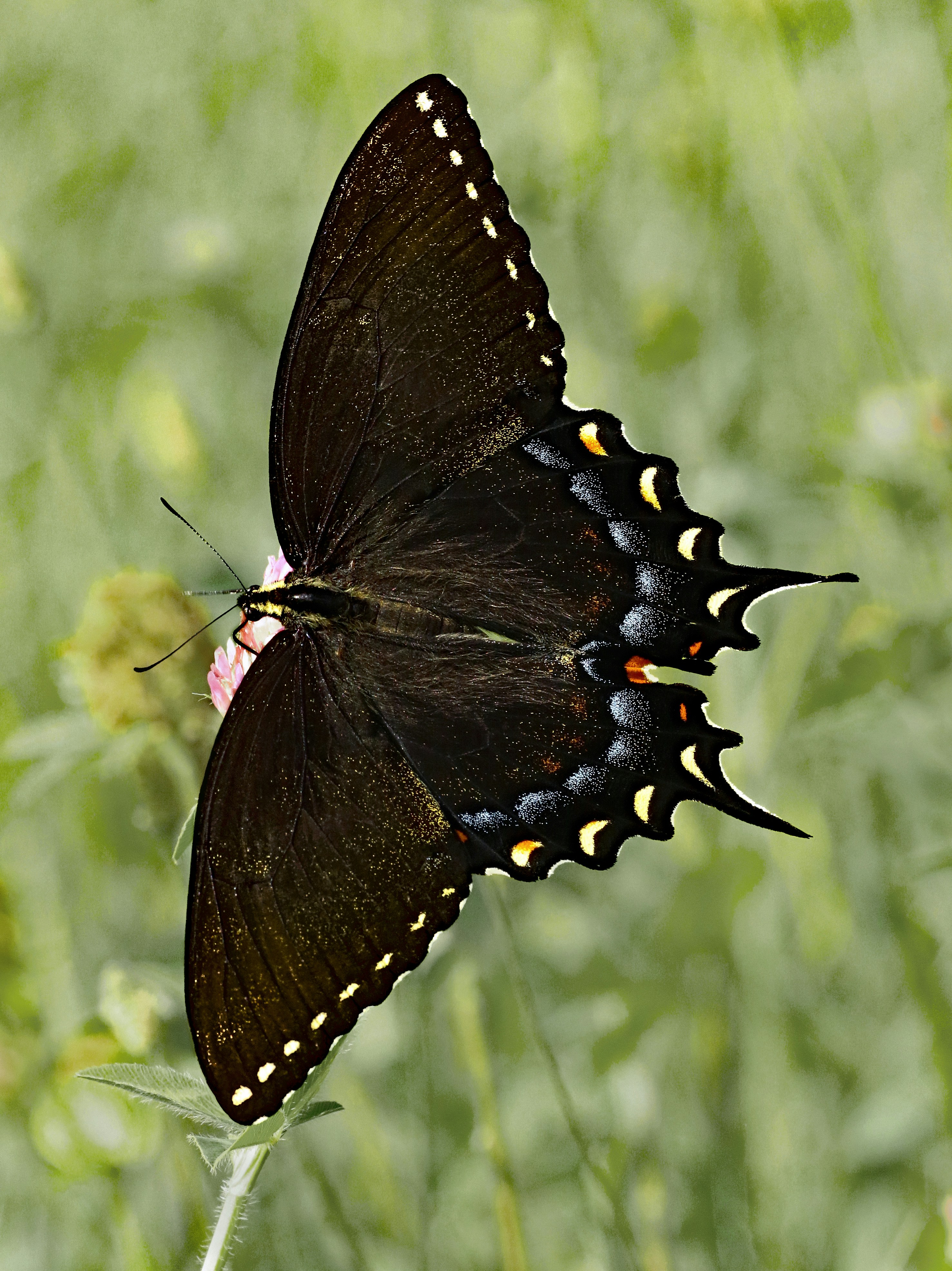 Photo by telliottmbamsc